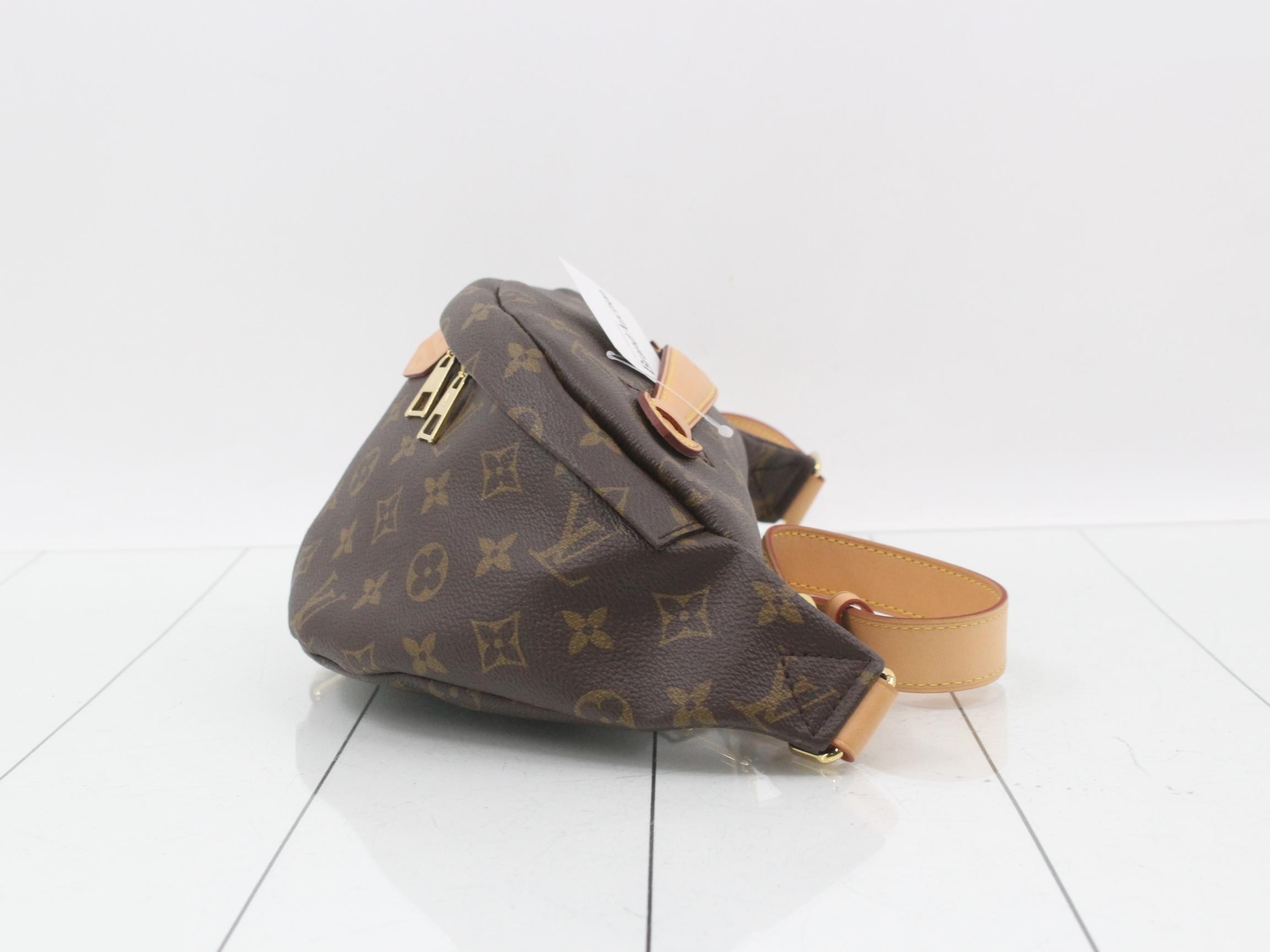 Monogram Bum Bag Waist Bag — view 3