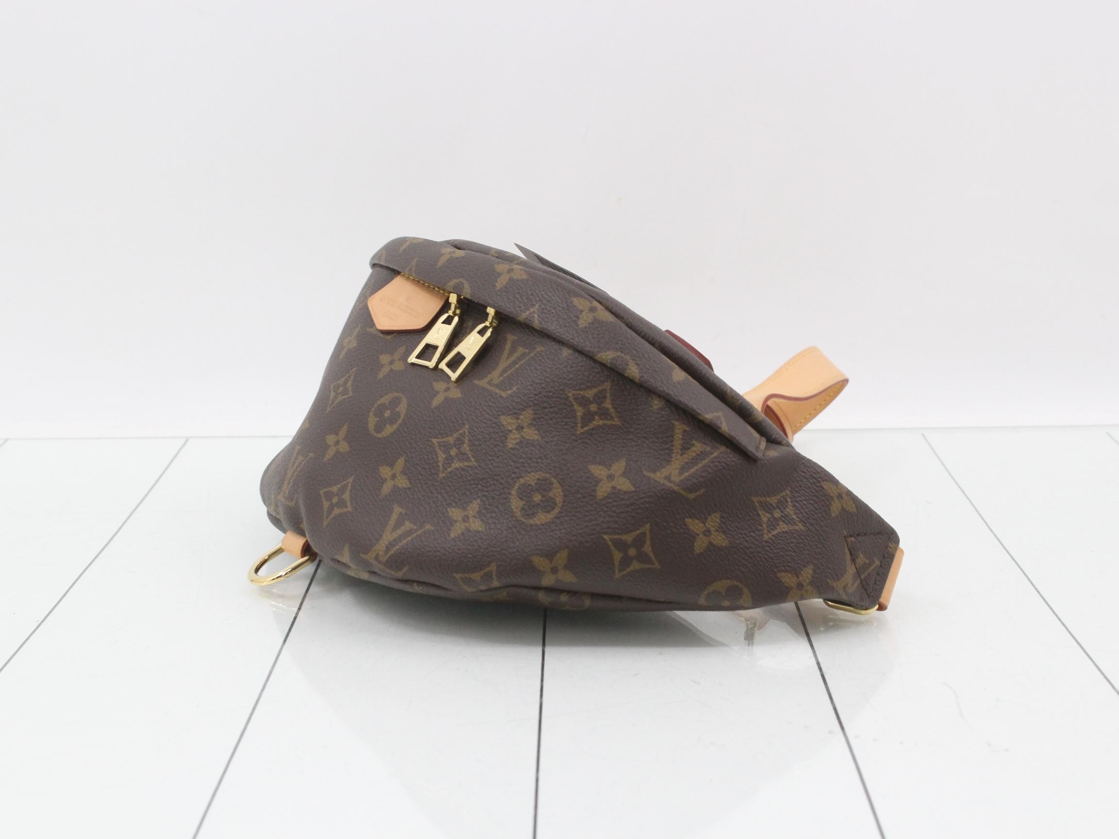 Monogram Bum Bag Waist Bag — view 6