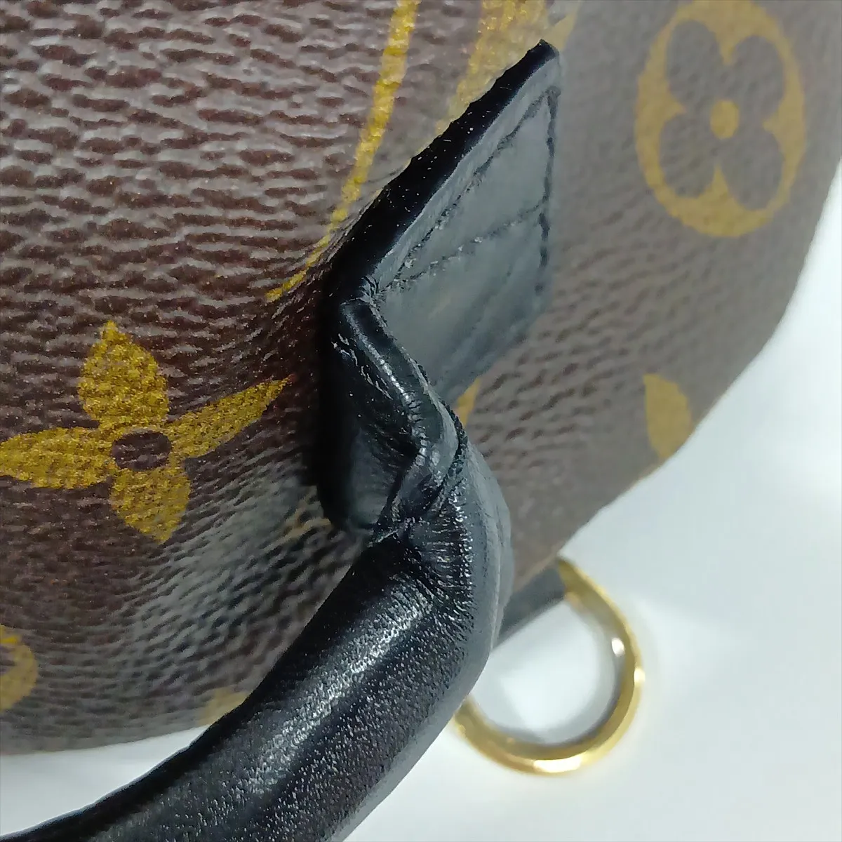 Monogram Love Lock Palm Springs MINI M44367 FL4188 Brown — view 11