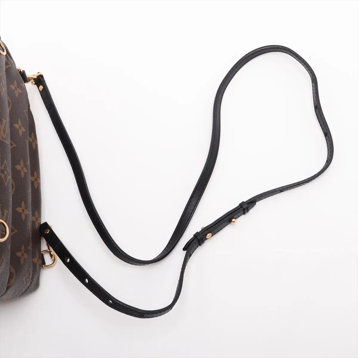 Monogram Love Lock Palm Springs MINI M44367 FL4188 Brown — view 6