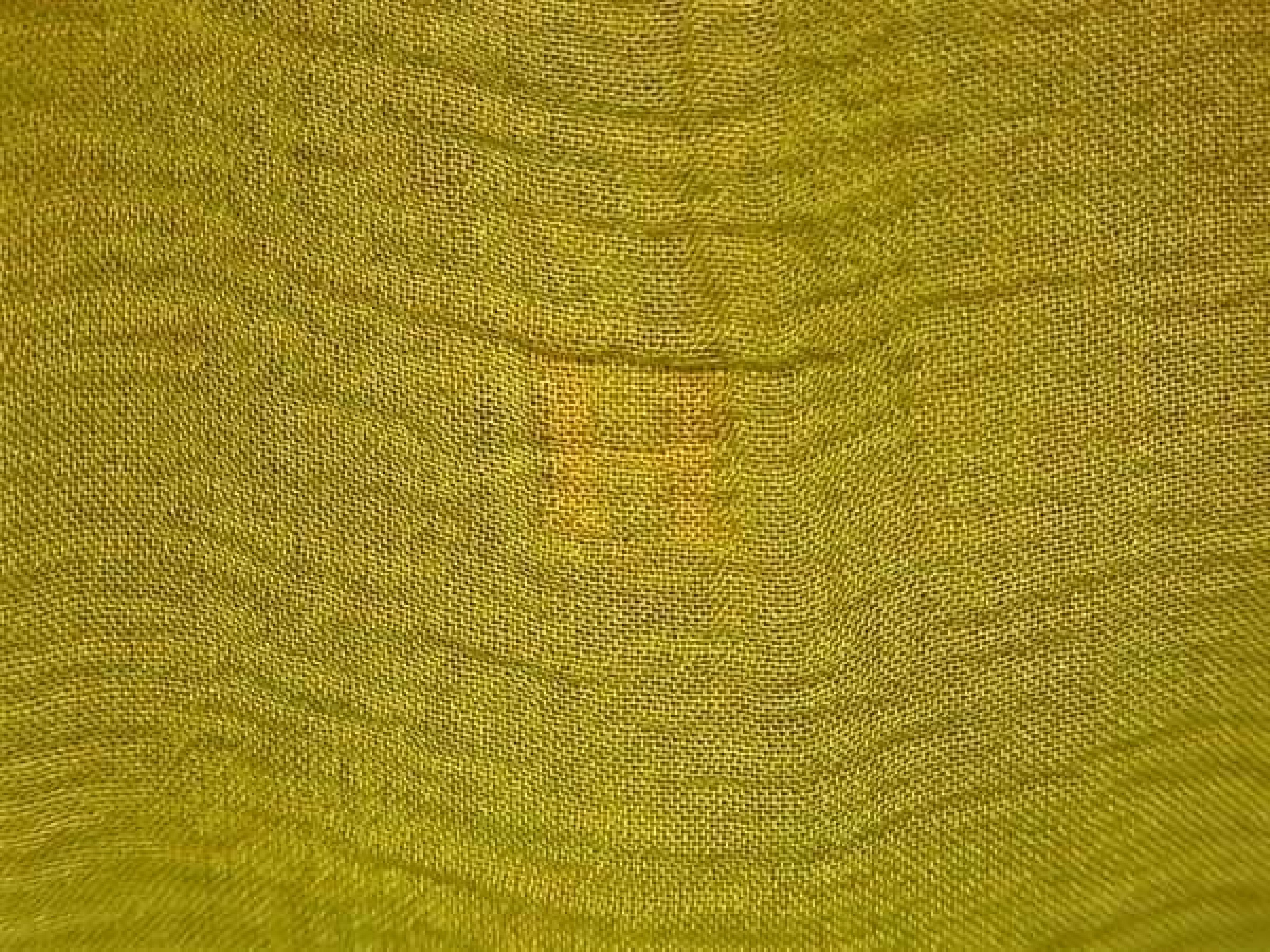 100% Silk Fringe Large Stole Shawl for Women and Men, Green x Yellow, FZ7341 (Other Accessories) — view 6