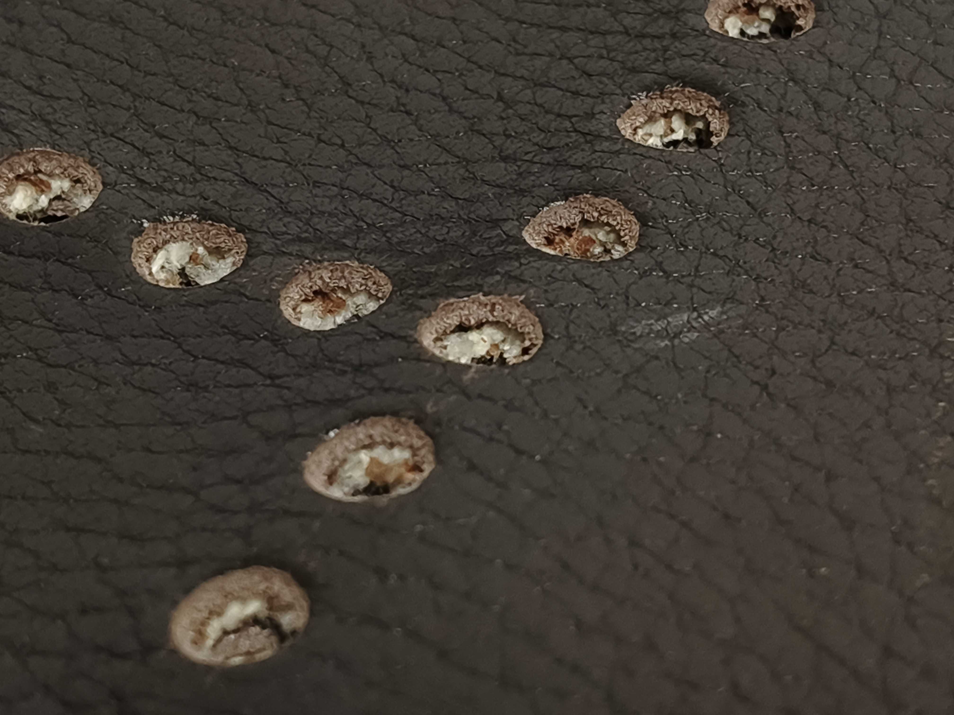 Evelyne Hermes Evelyne II 33 GM Toile H x Taurillon Clemence Brown Silver Hardware I: 2005 Shoulder Bag — view 13