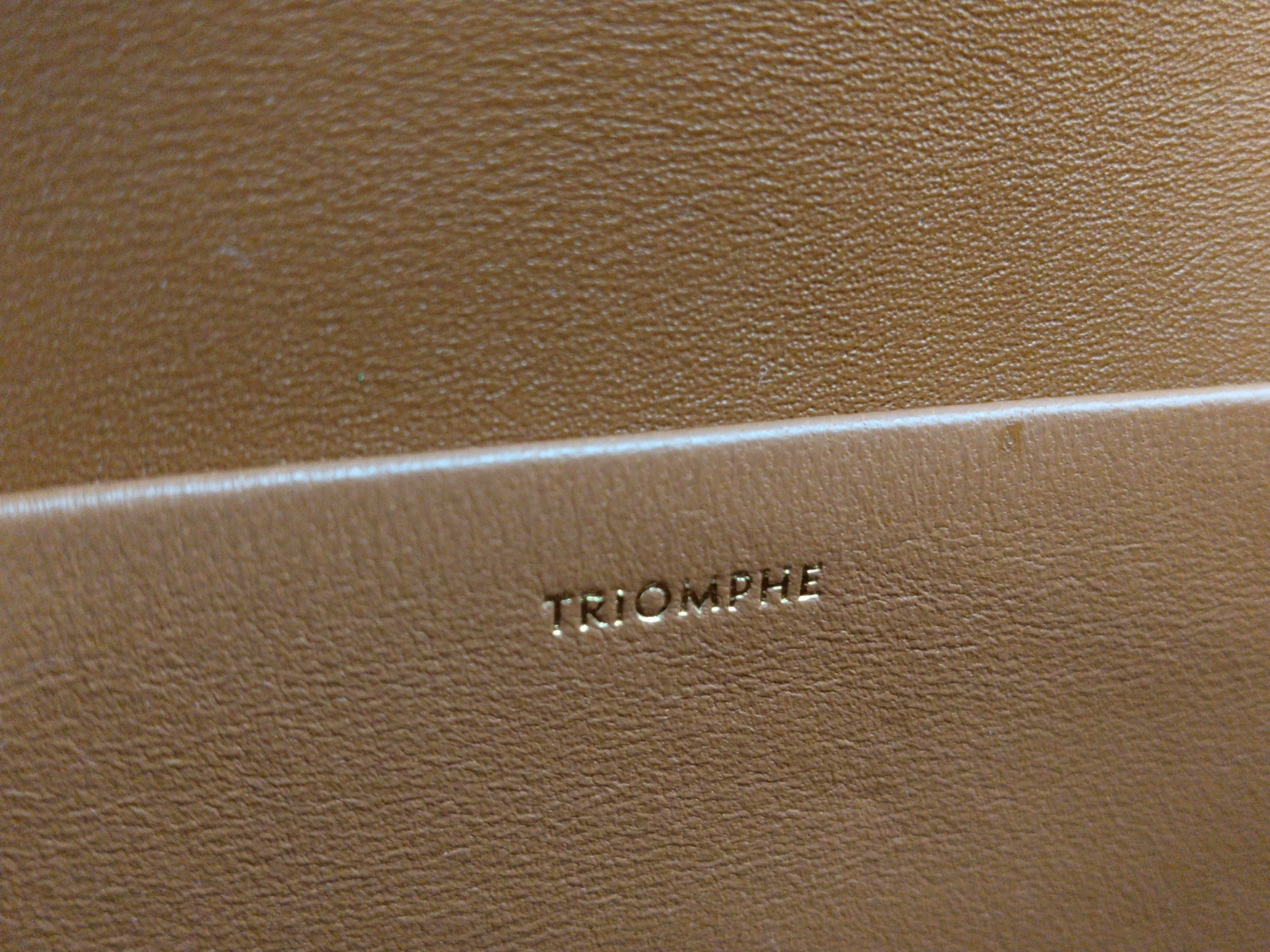 Triomphe Shoulder Bag — view 14