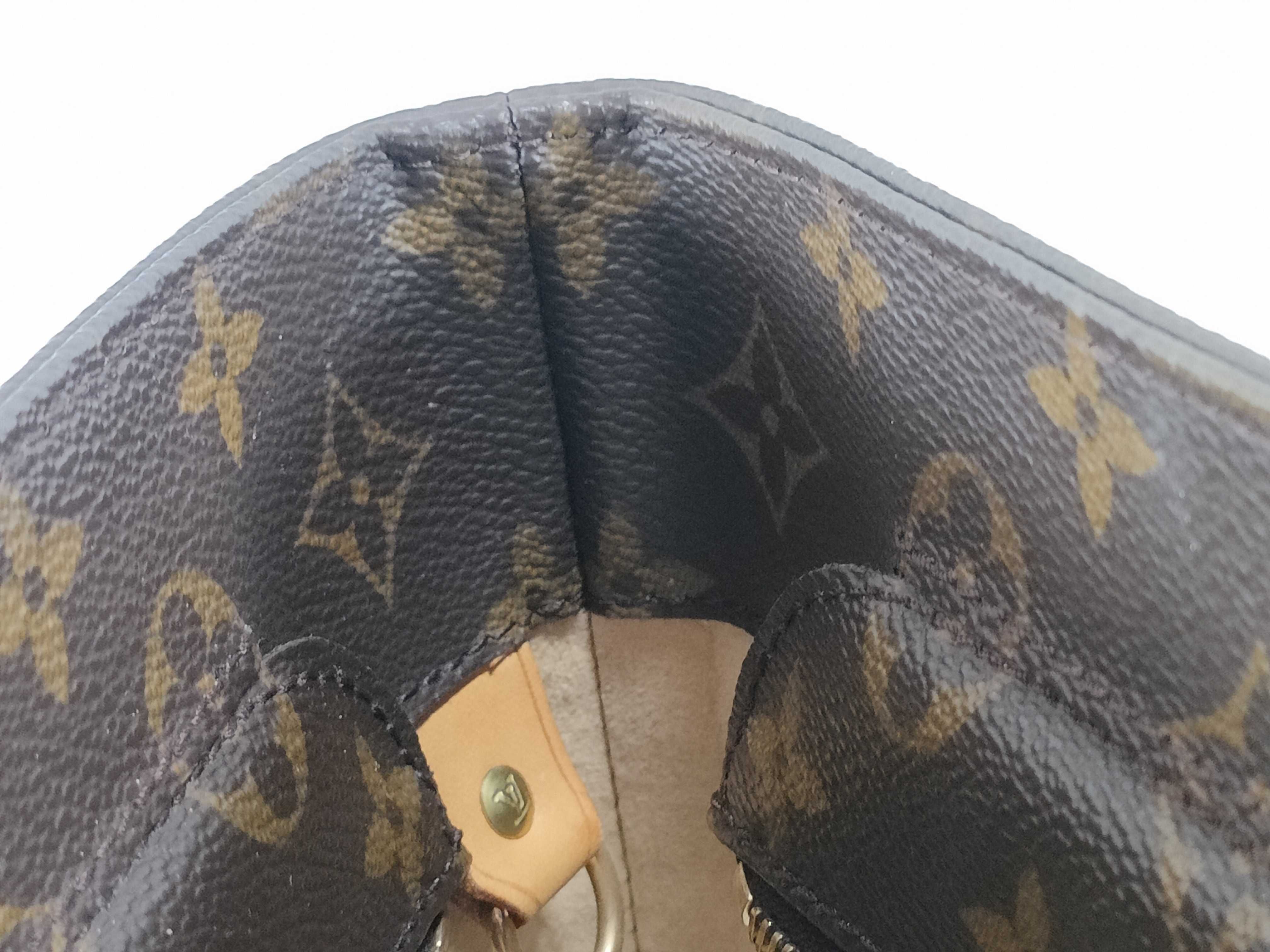 Monogram Louis Vuitton Luco Tote Bag Monogram M51155 Tote Bag — view 9