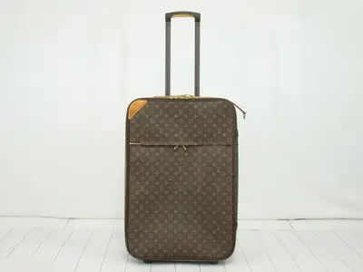 Monogram Pegase 65 Carry Case