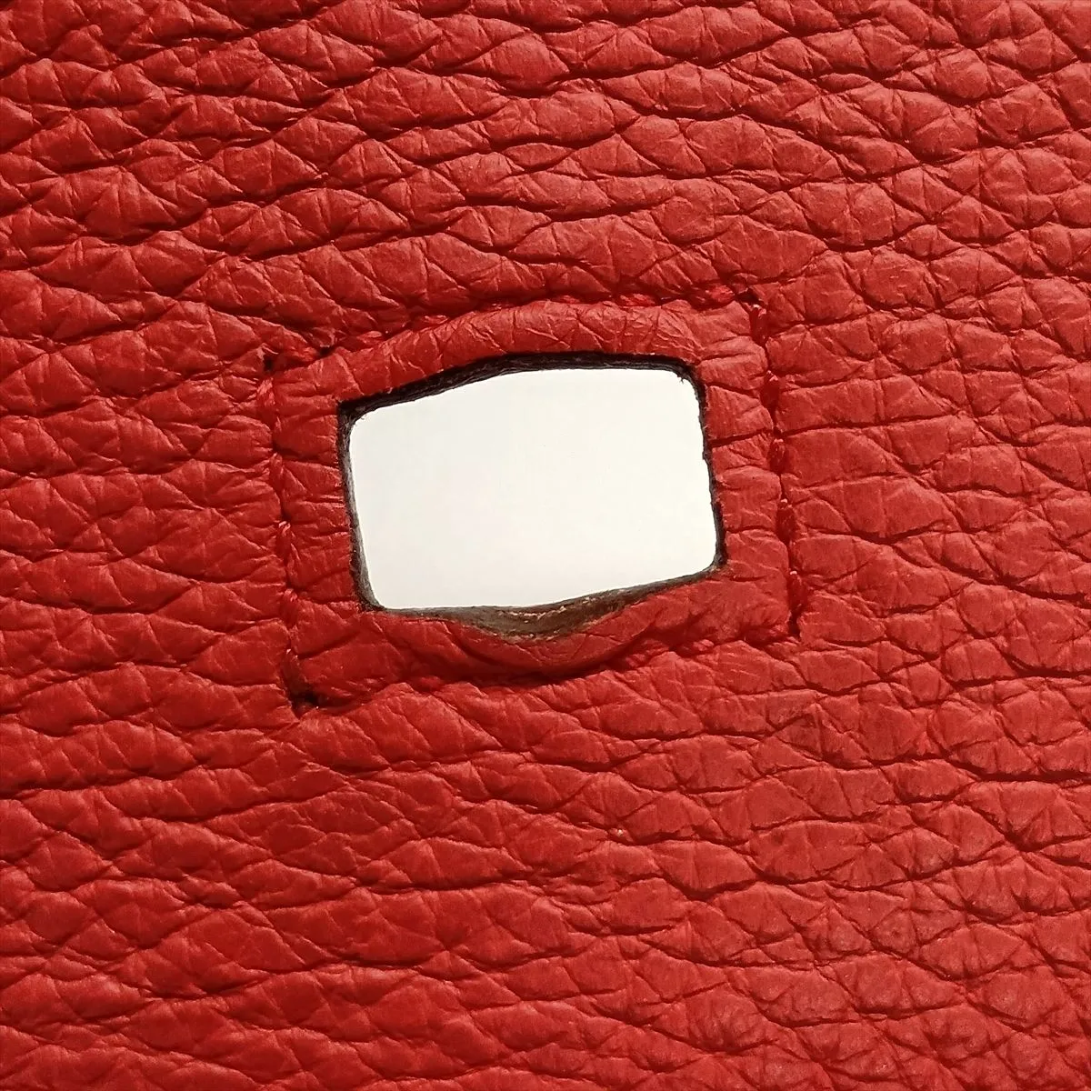 Jypsiere 28, Taurillon Clemence leather, Bougainvillea pattern, Silver hardware N: 2010 — view 14