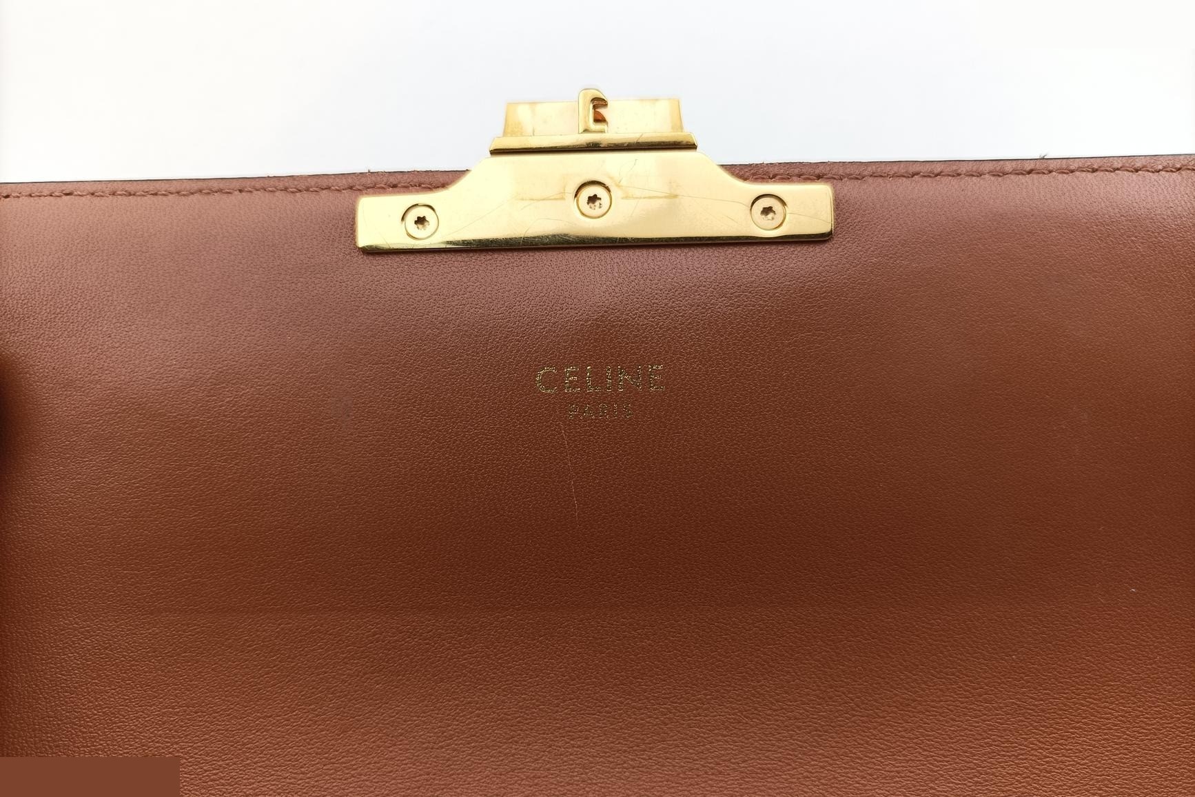 Triomphe PVC Coated Canvas, Brown — view 7