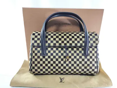 Damier Sauvage Calf Hair Lion Handbag