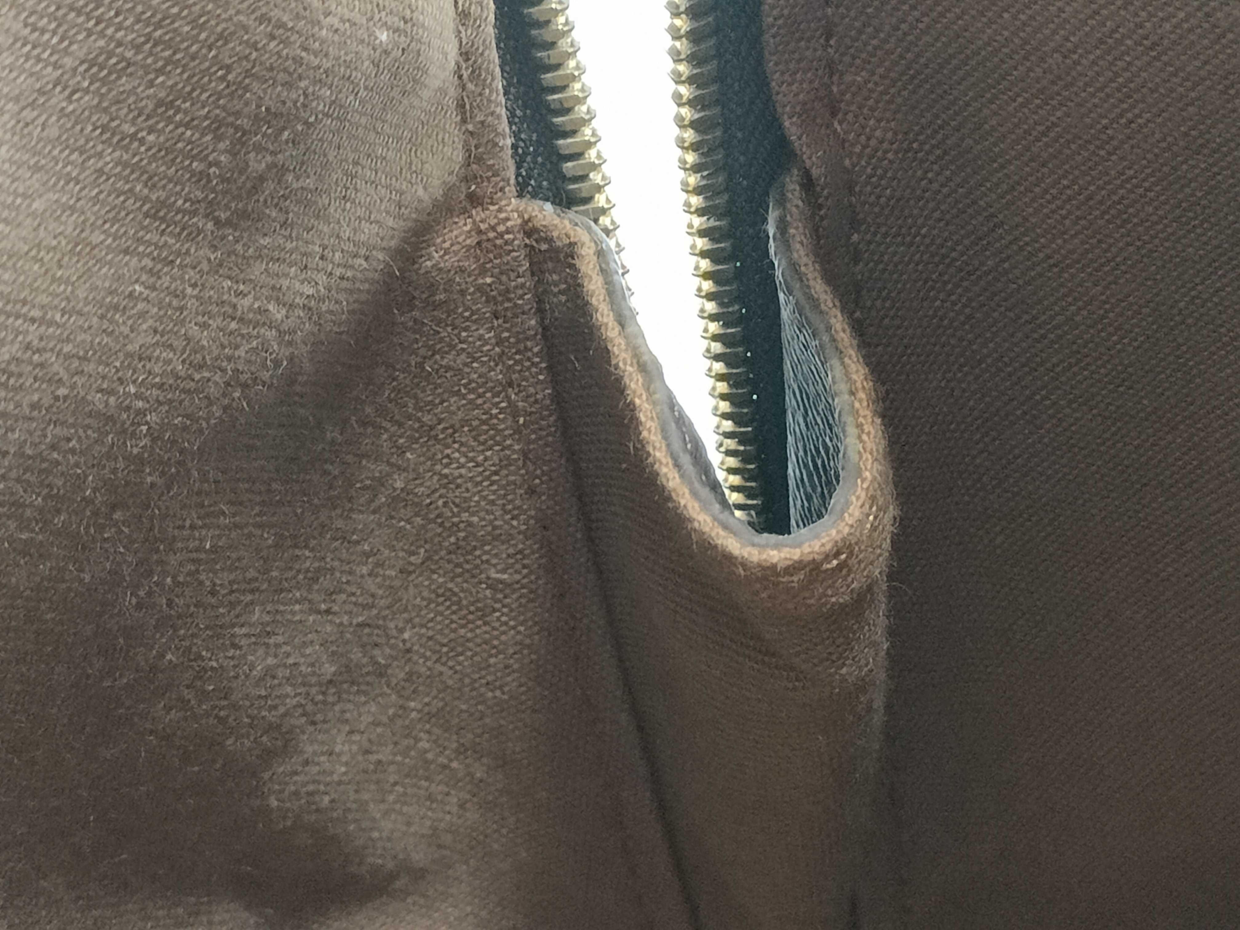 Monogram Alma PM Handbag — view 9