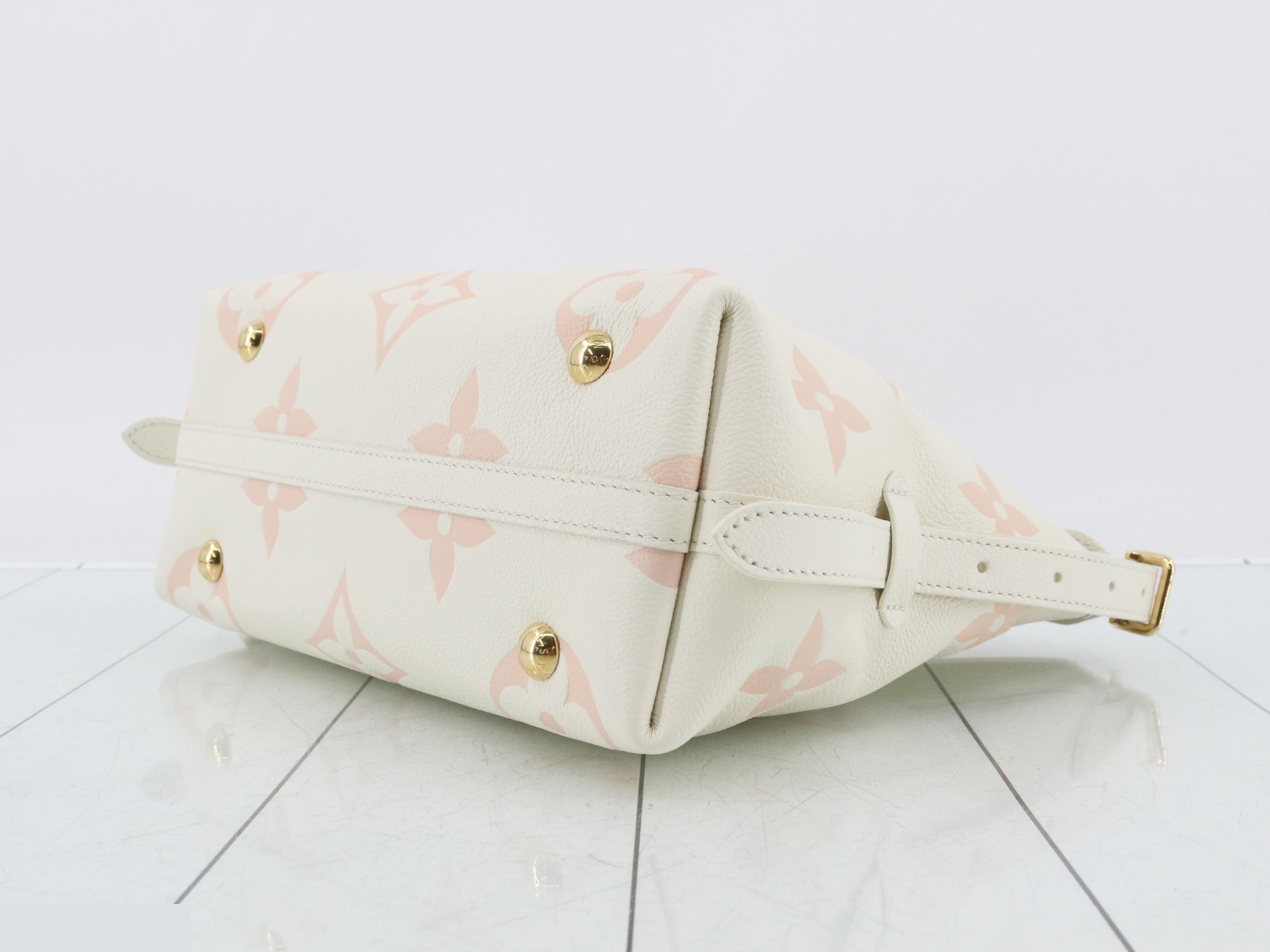 Carryall Zip NM PM Bicolor Unused — view 6