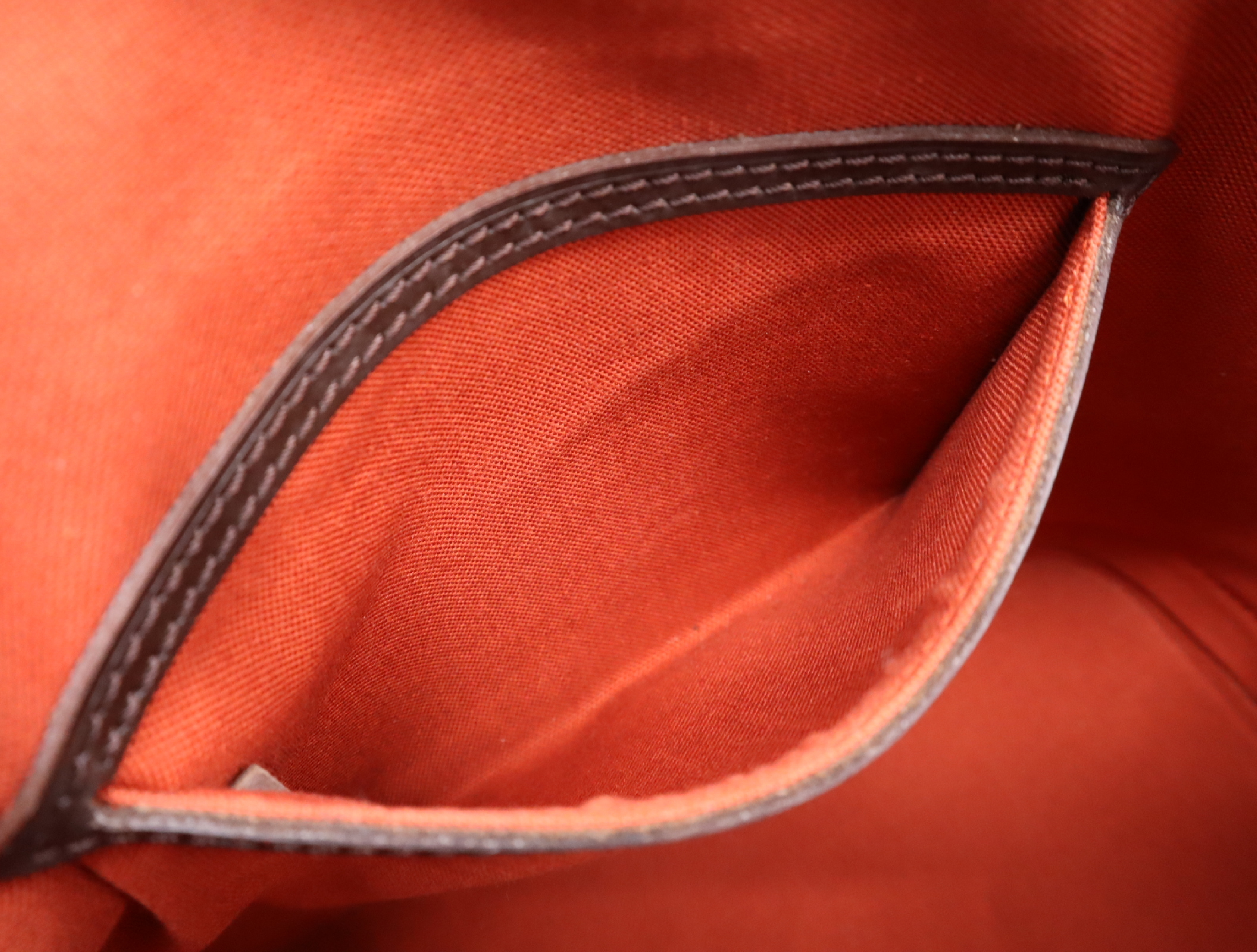 N51131 Damier Alma Handbag — view 14