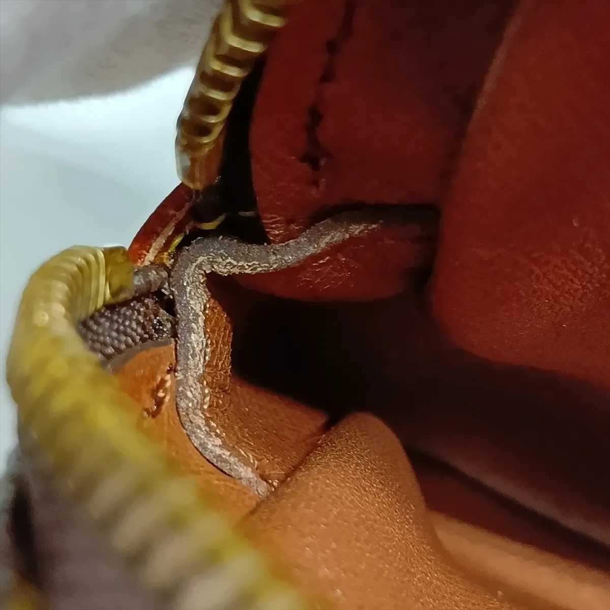 Monogram Pochette Marly Bandoulière M51828 882TH Brown Natural Leather (Various parts repaired by aftermarket parts) — view 8