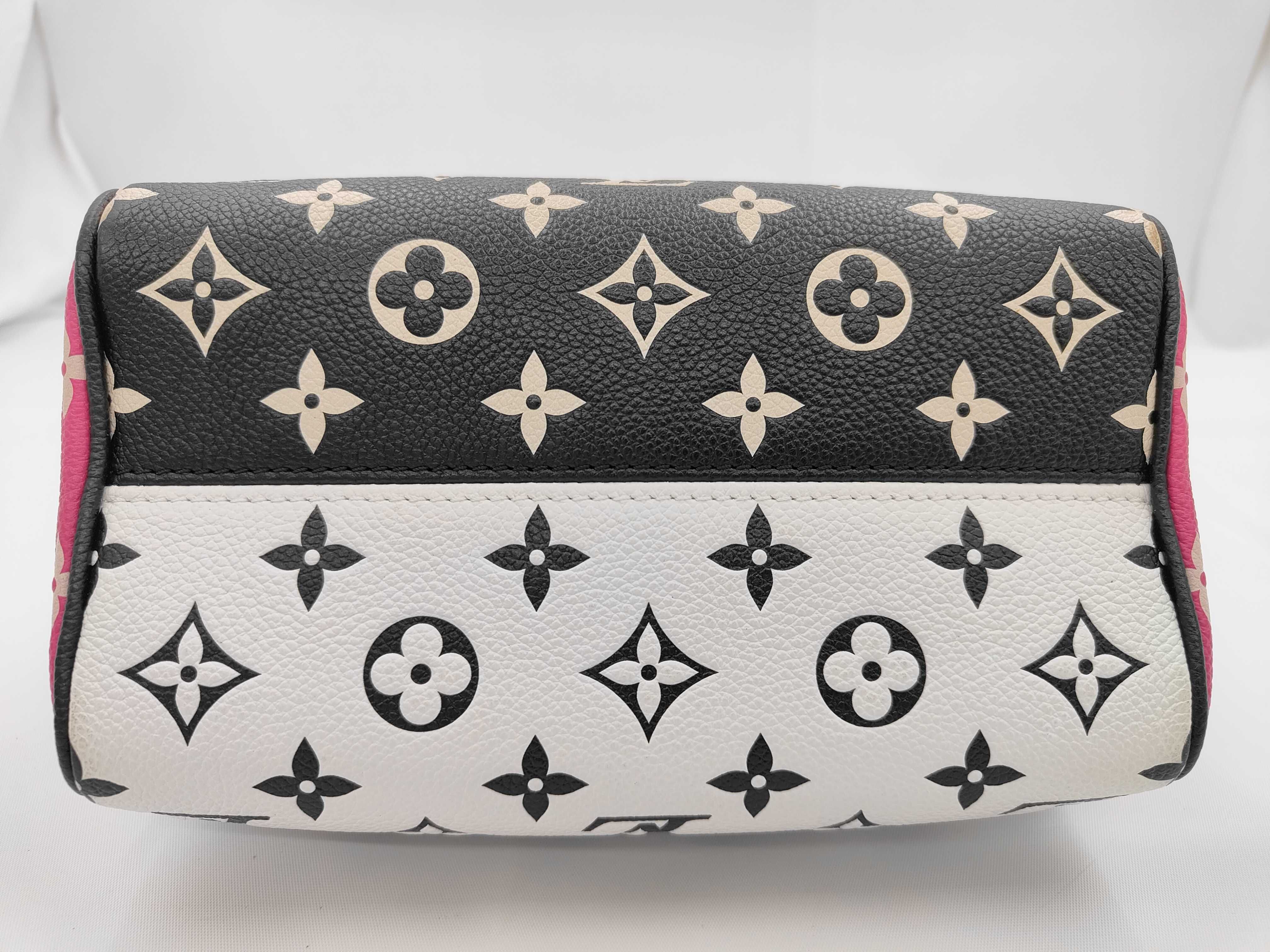 Speedy Bandoulière 20 M46088 Handbag — view 5