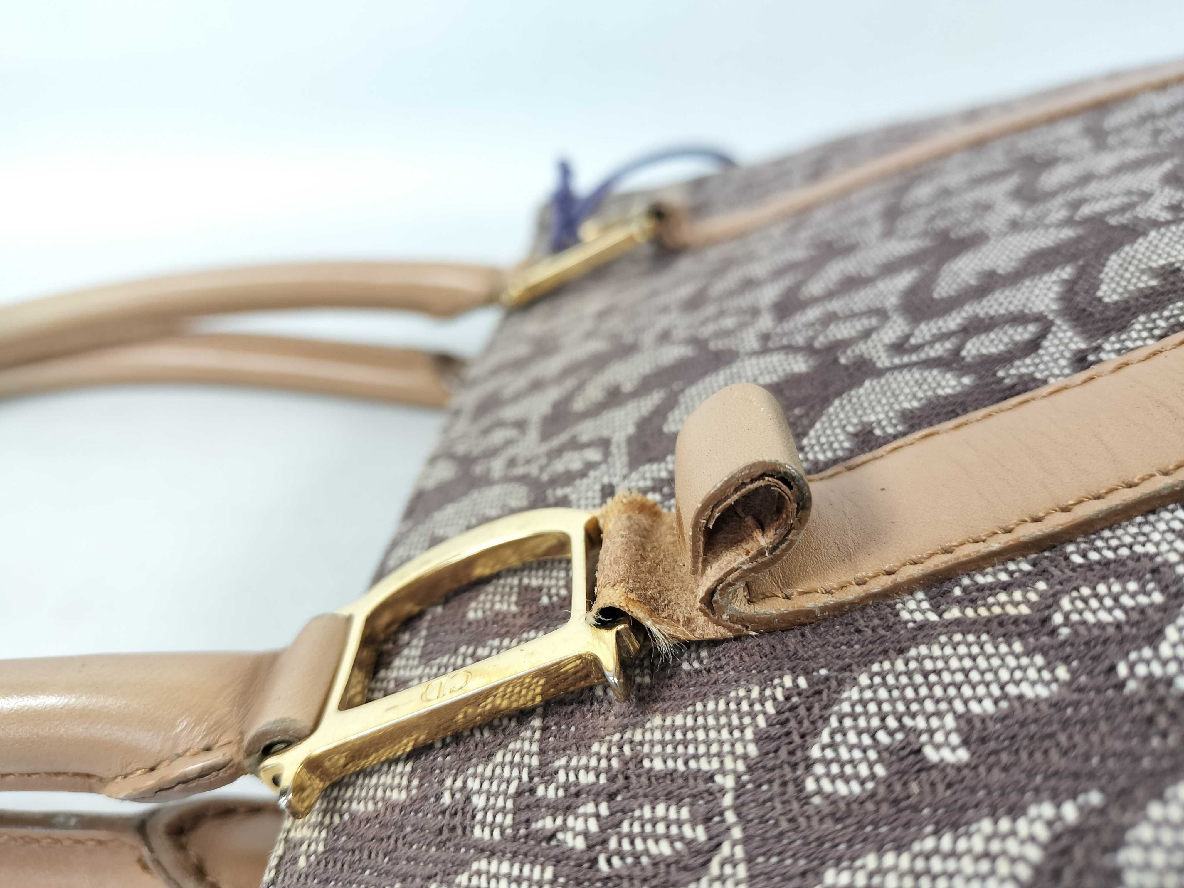 Trotter Tote Bag, Beige/Brown, Gold Hardware, with Charm. — view 5