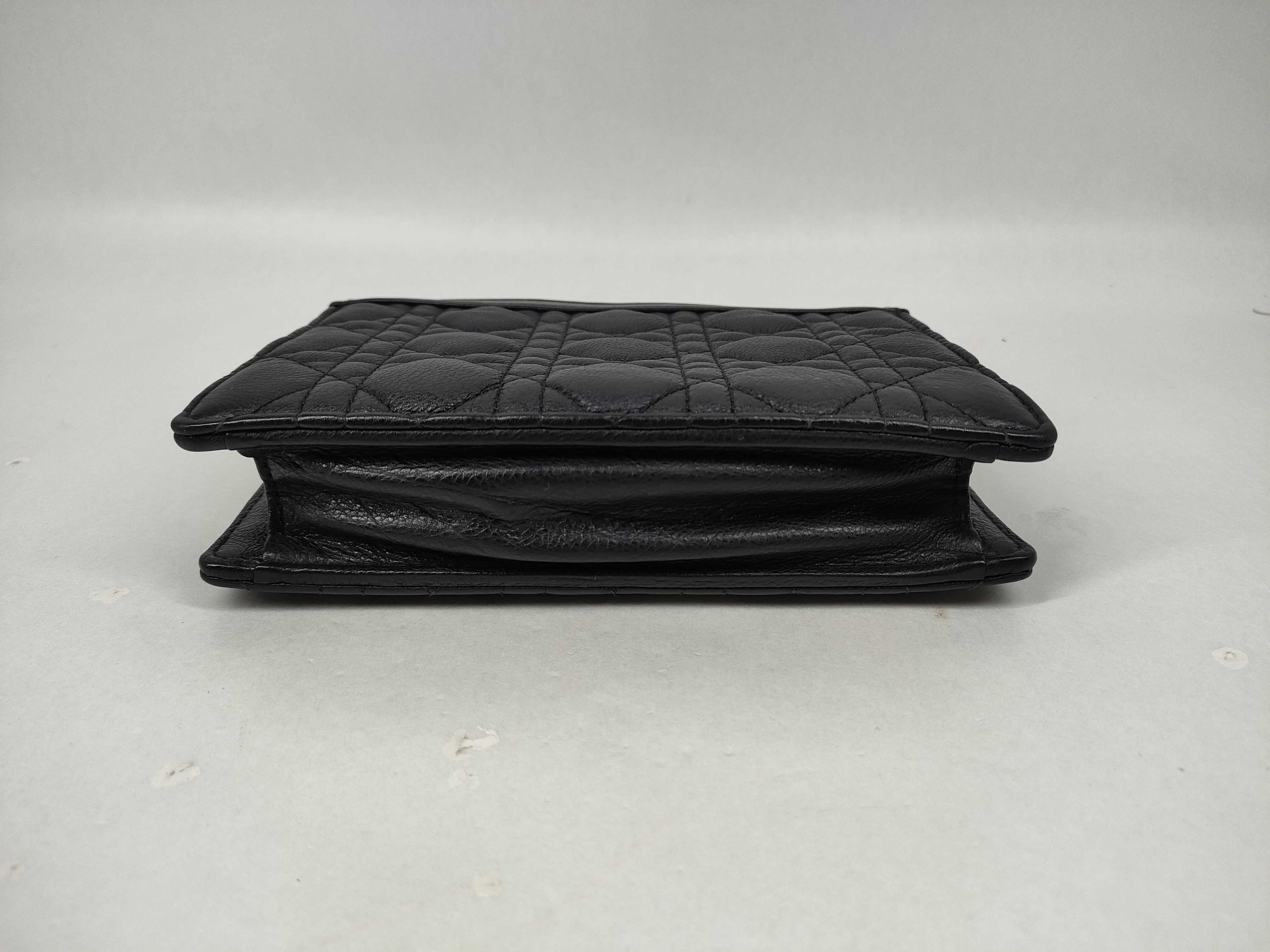Caro Every Pouch Dior Pouch — view 3