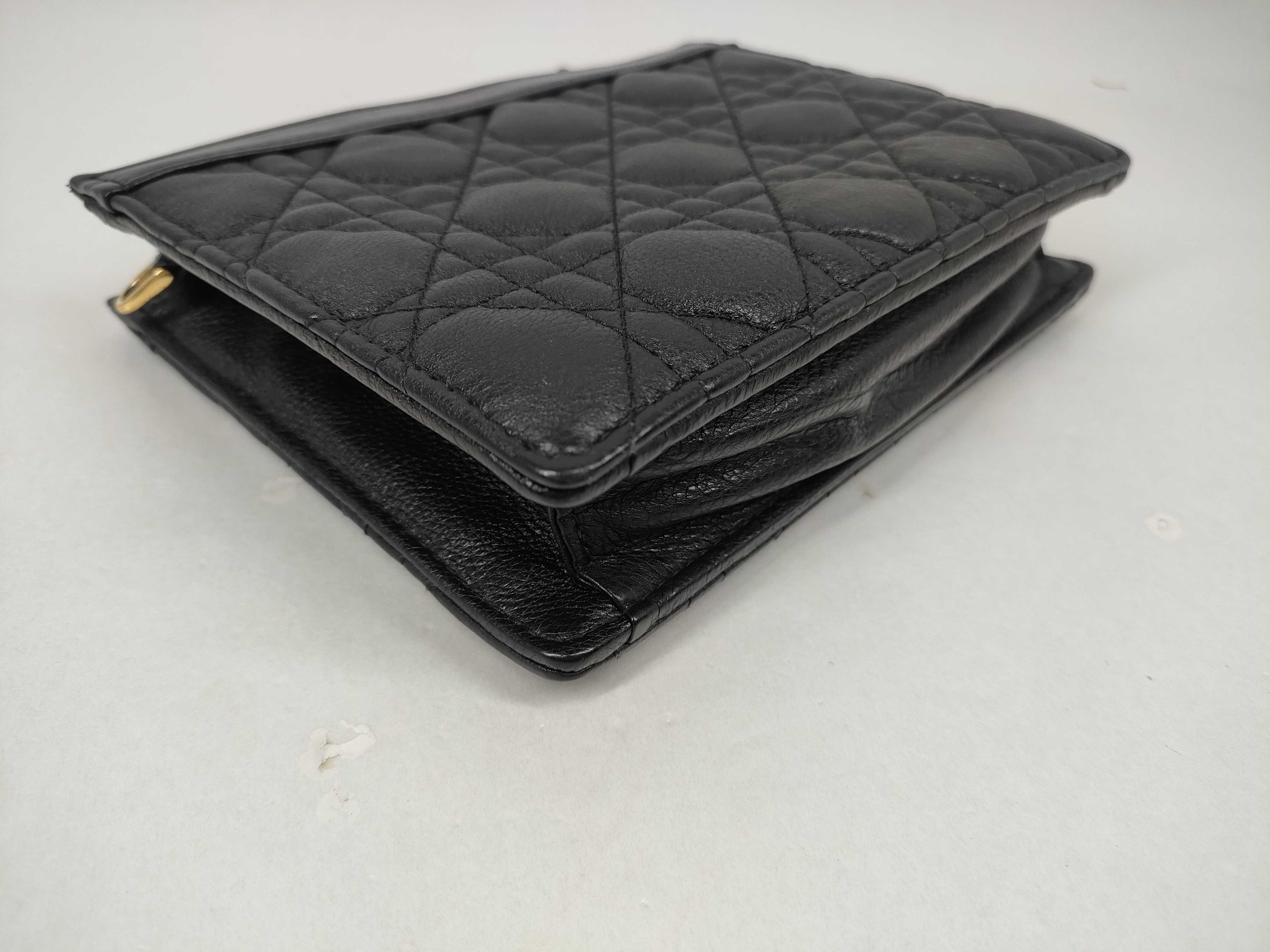 Caro Every Pouch Dior Pouch — view 4