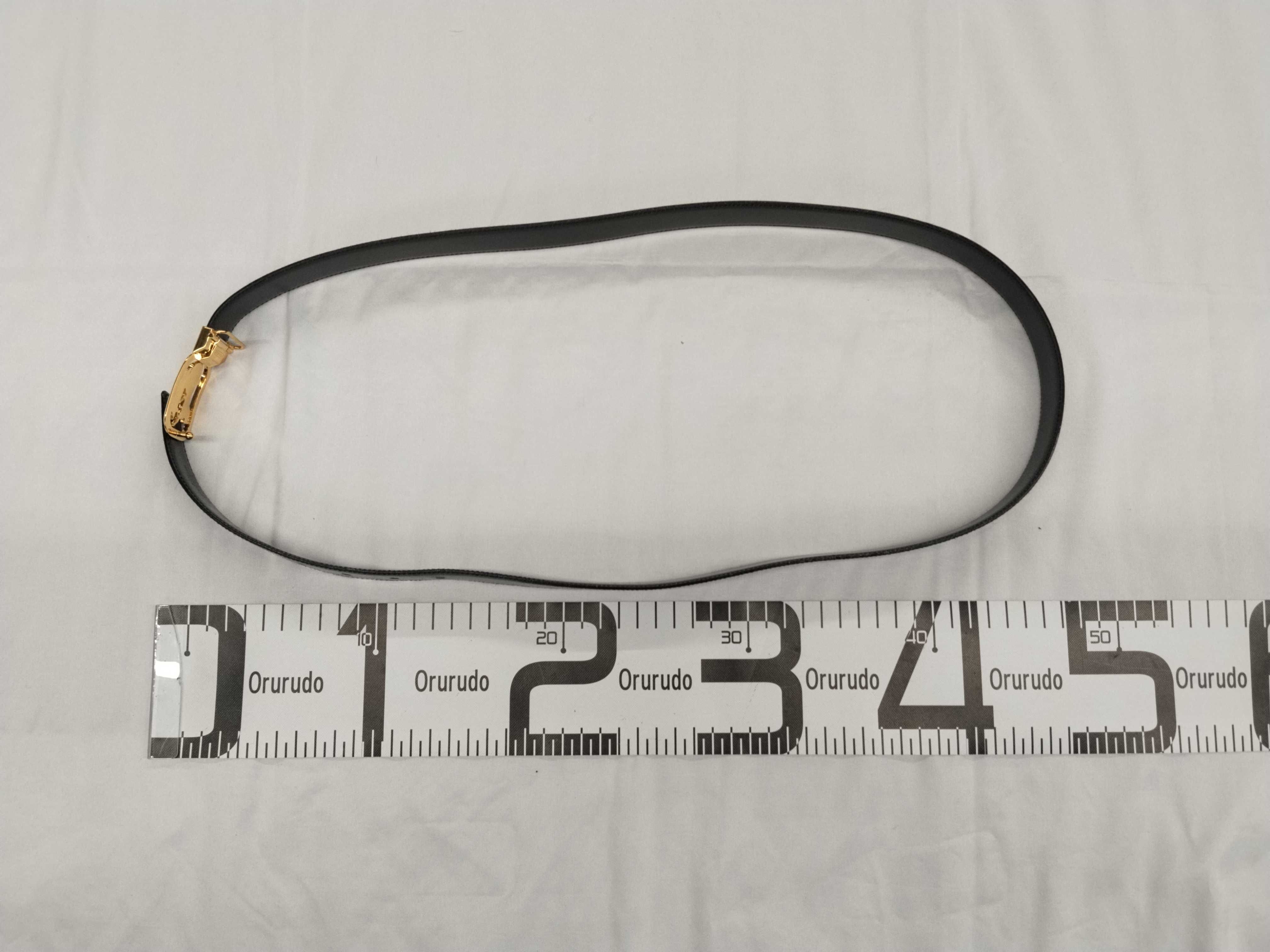 carriage buckle belt — view 9
