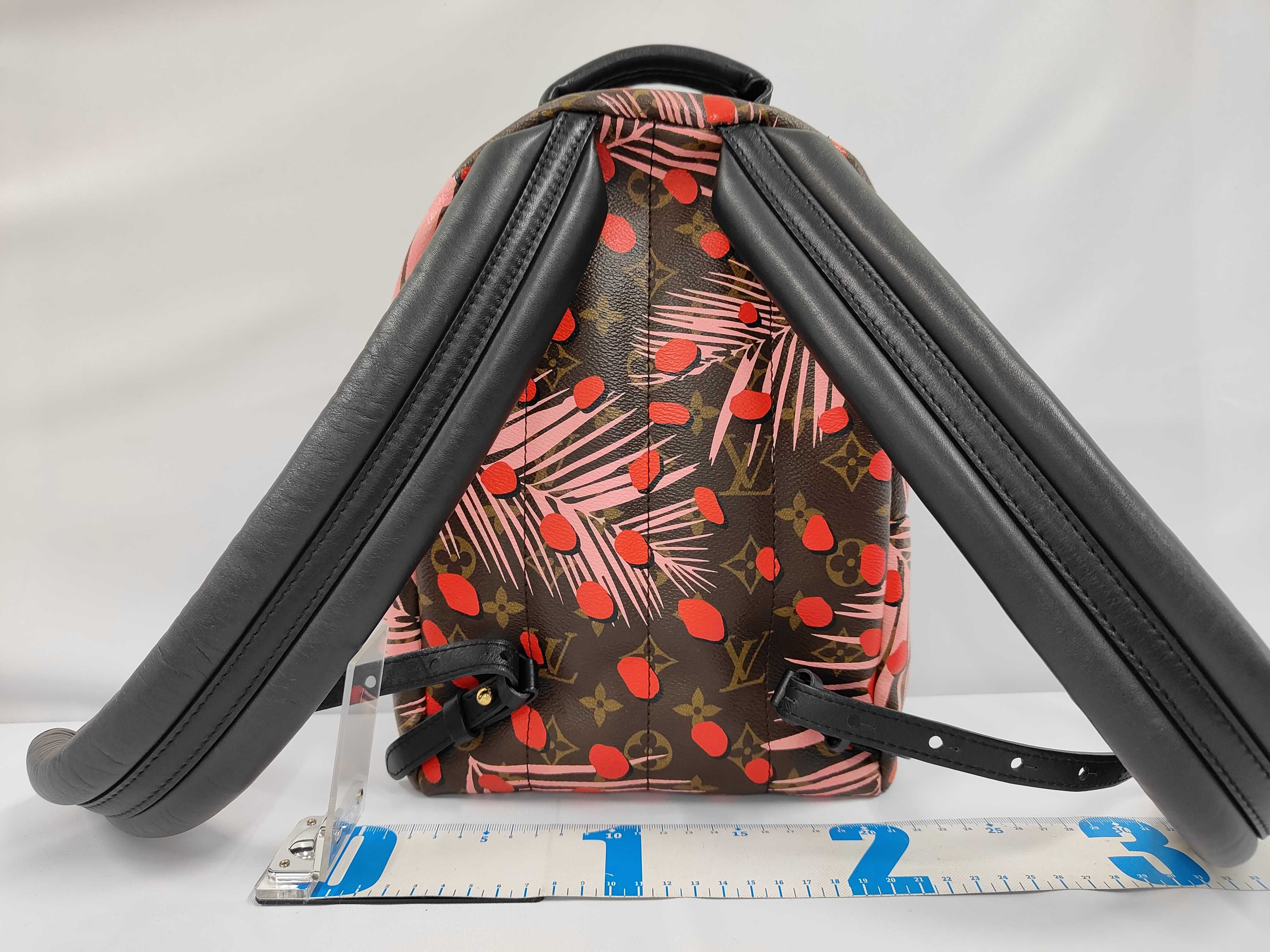 Monogram Jungle Dot Palm Springs Backpack PM M41981 FL0176 Backpack — view 2