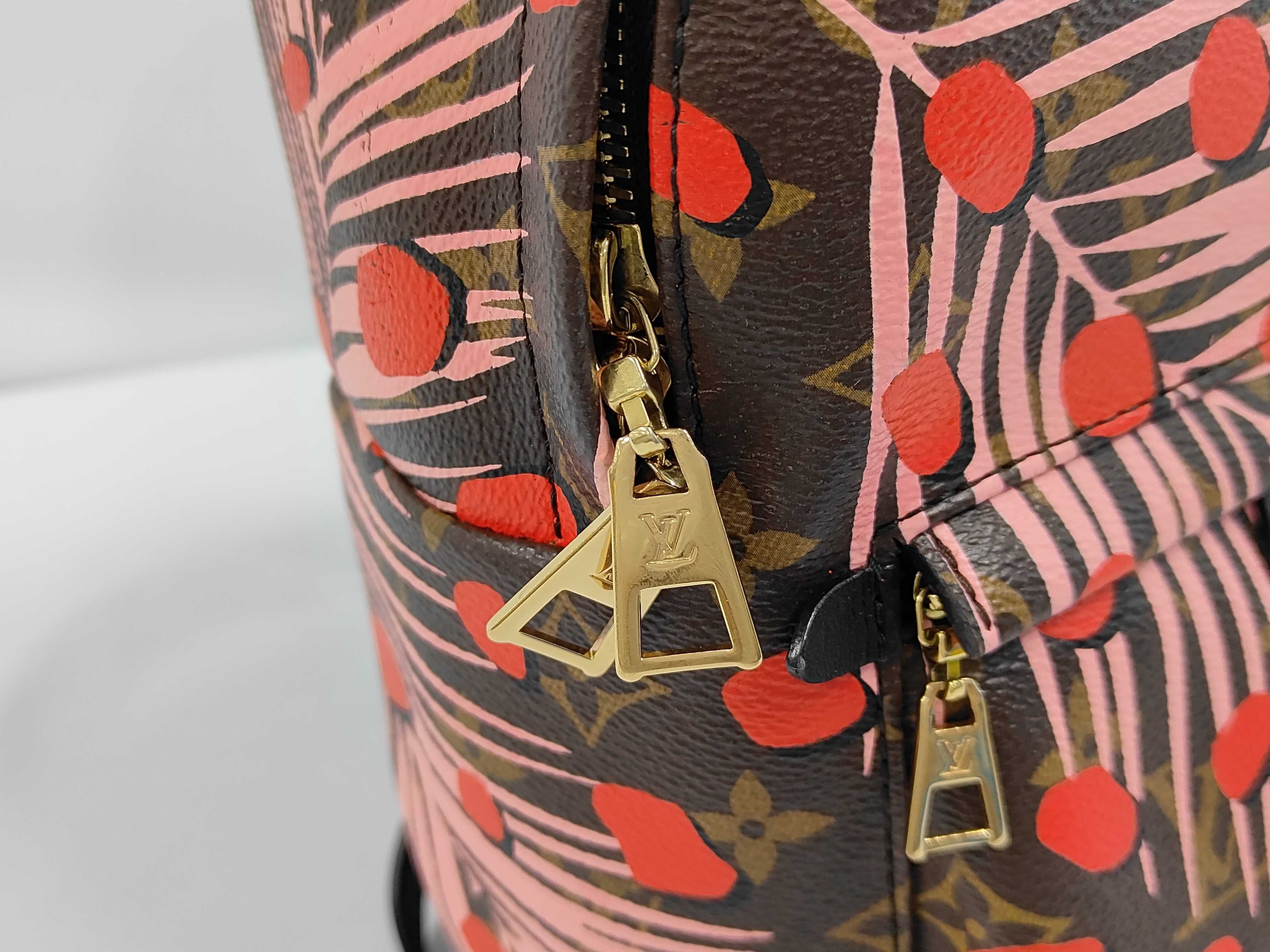 Monogram Jungle Dot Palm Springs Backpack PM M41981 FL0176 Backpack — view 8