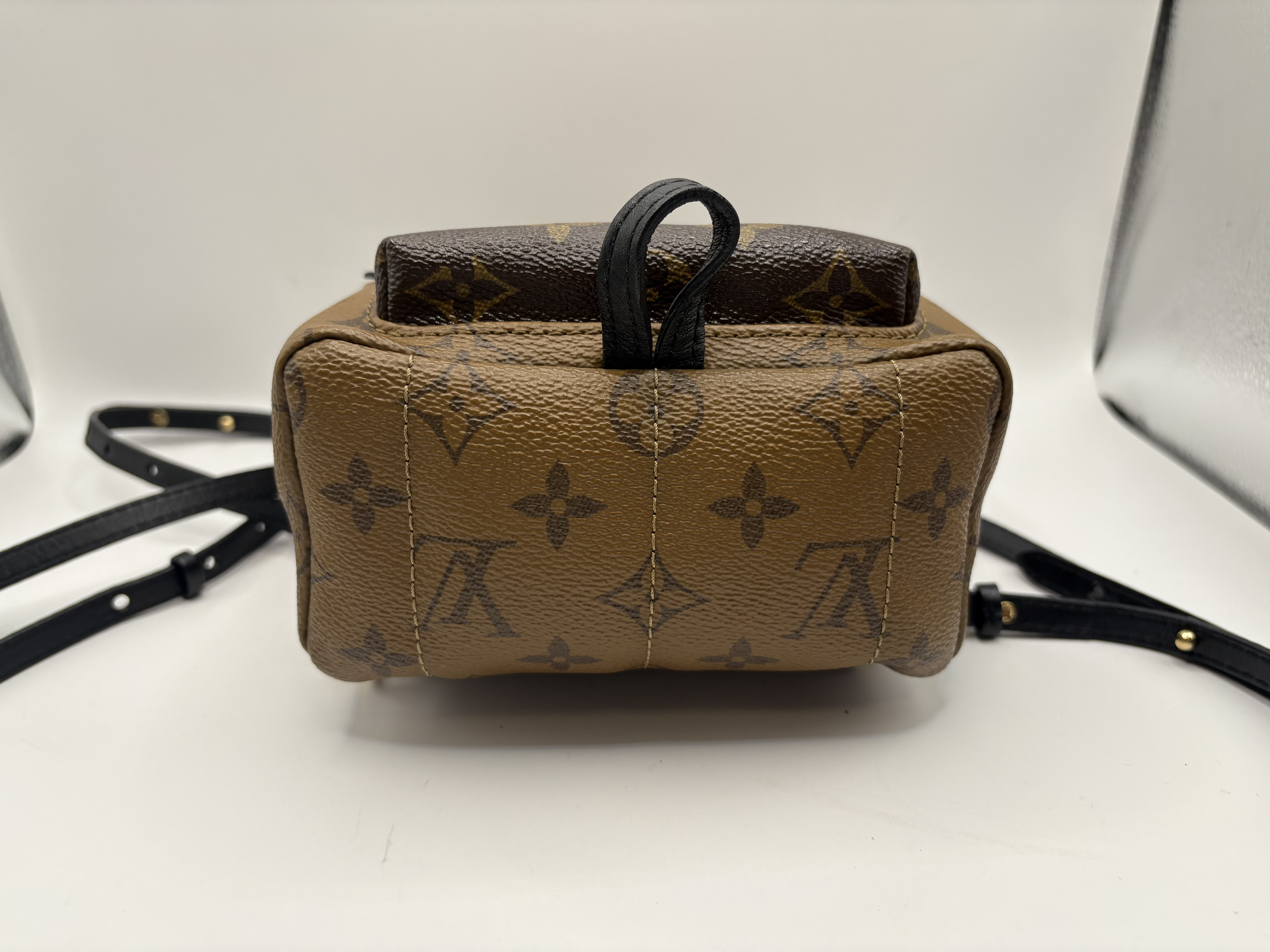 Monogram Reverse Palm Springs Backpack MINI M44872 Rucksack — view 3