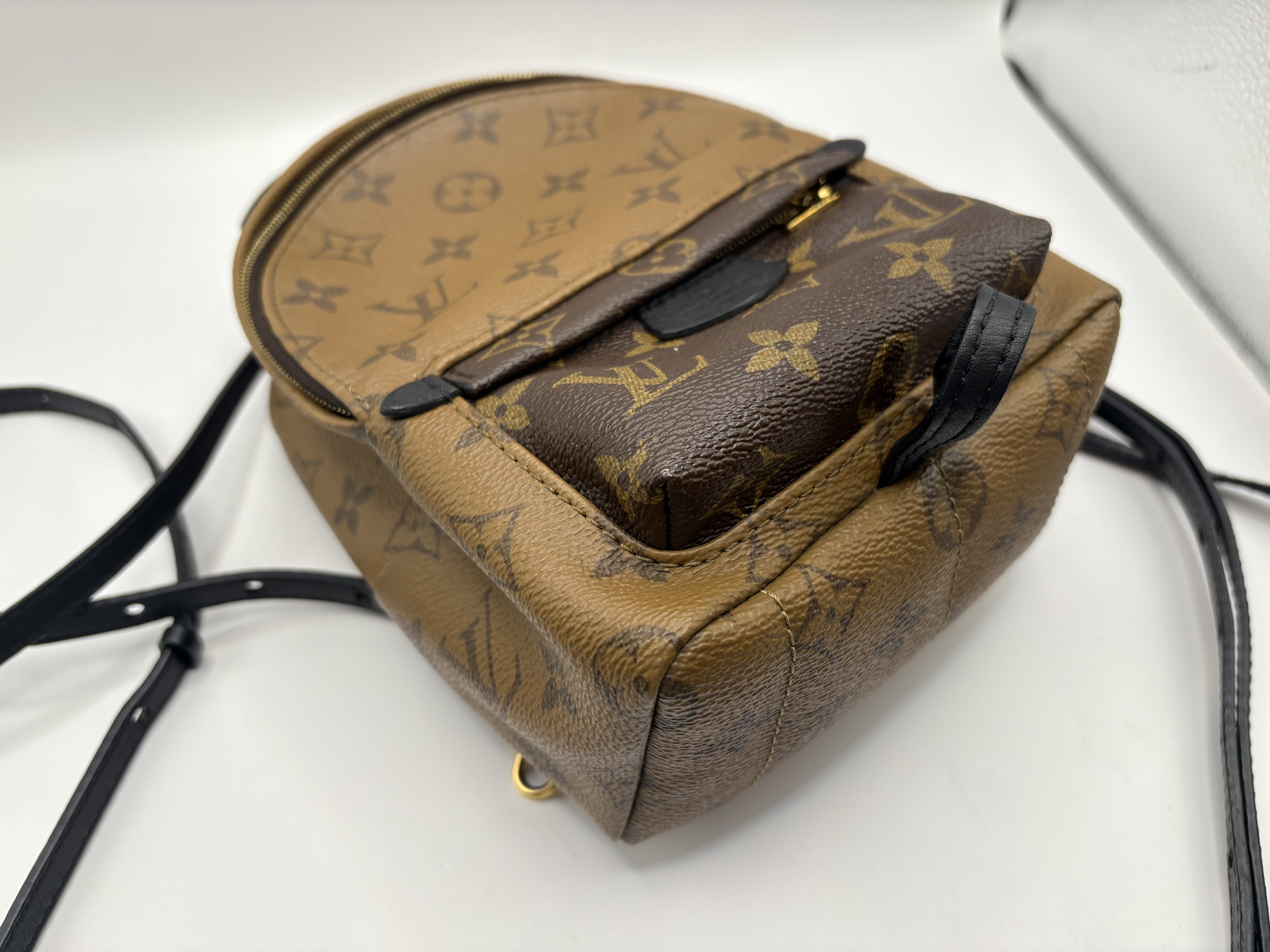 Monogram Reverse Palm Springs Backpack MINI M44872 Rucksack — view 4