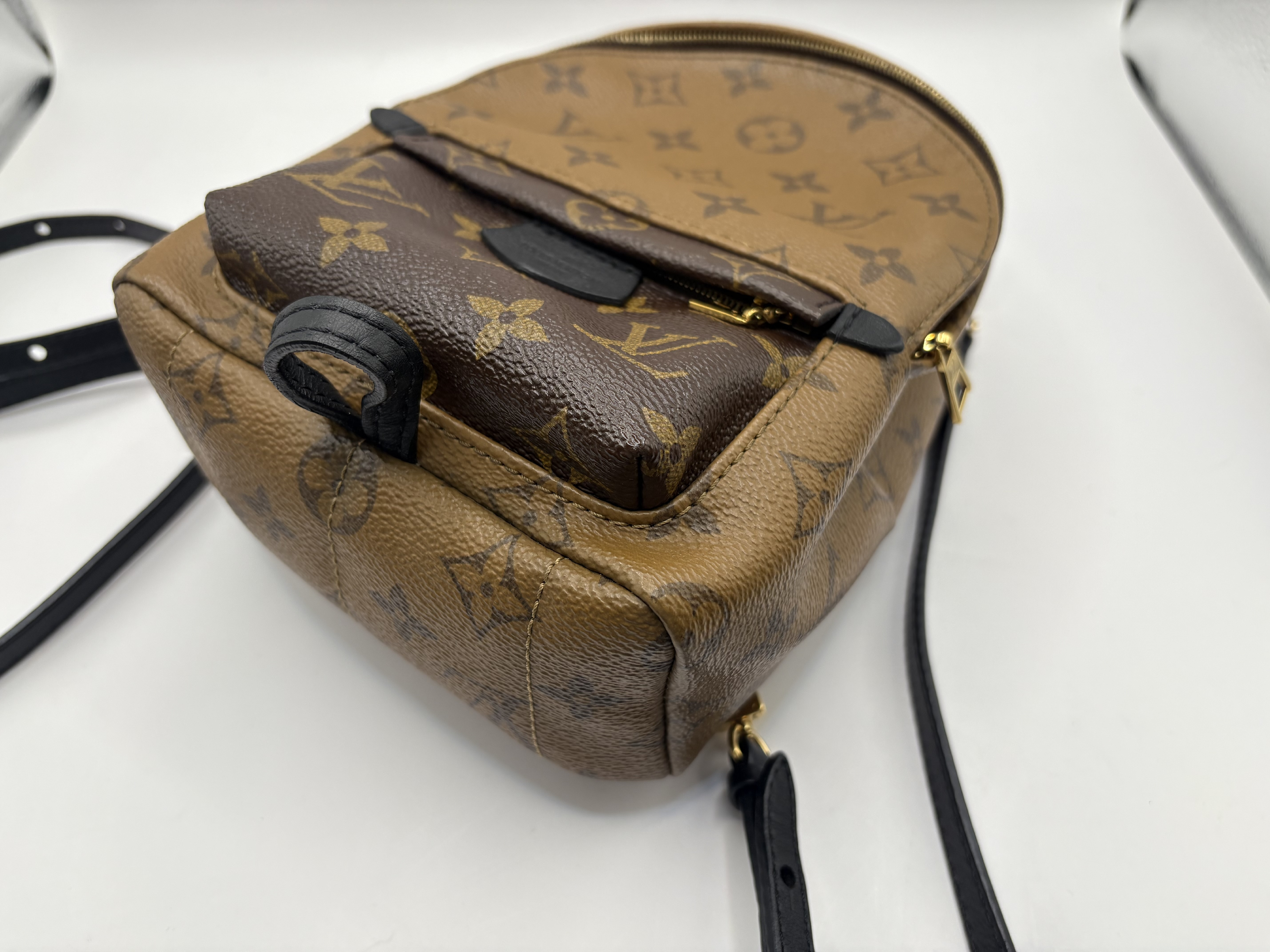 Monogram Reverse Palm Springs Backpack MINI M44872 Rucksack — view 5
