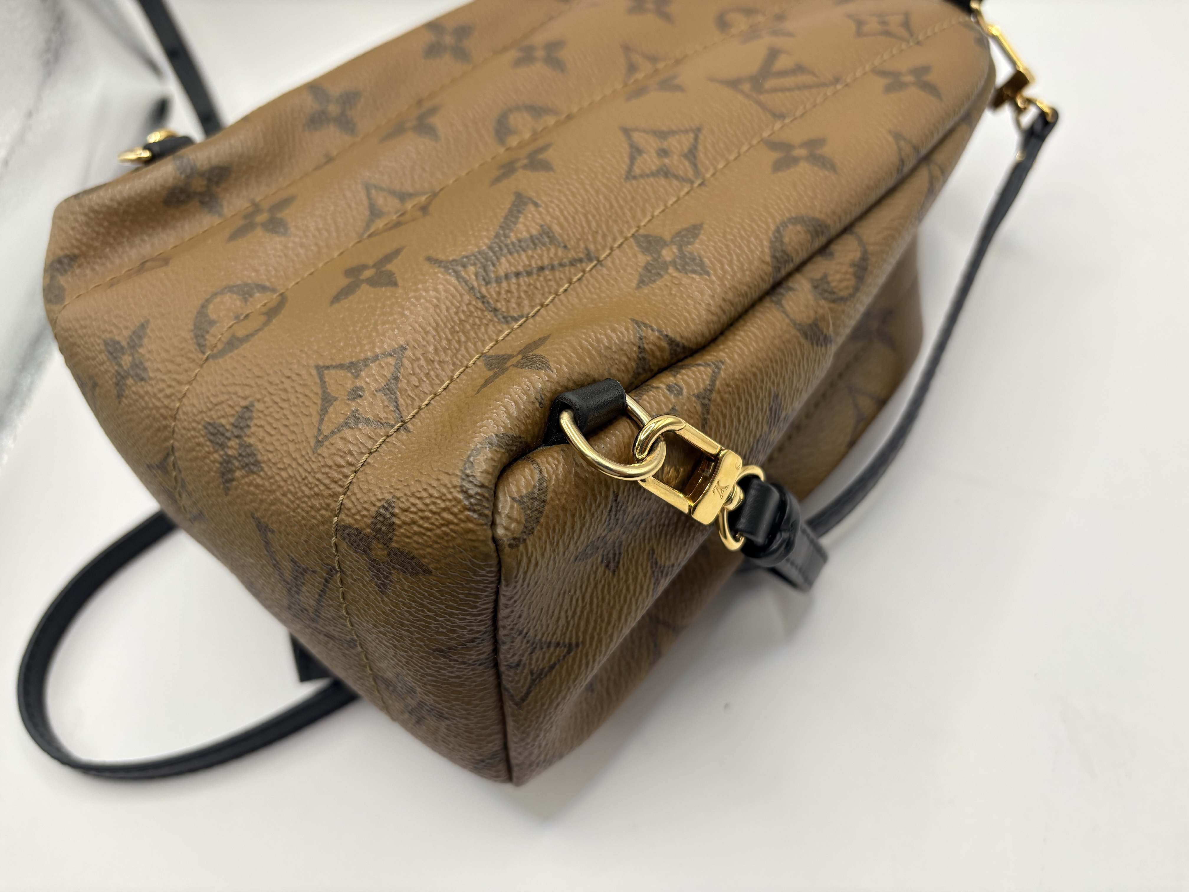 Monogram Reverse Palm Springs Backpack MINI M44872 Rucksack — view 6