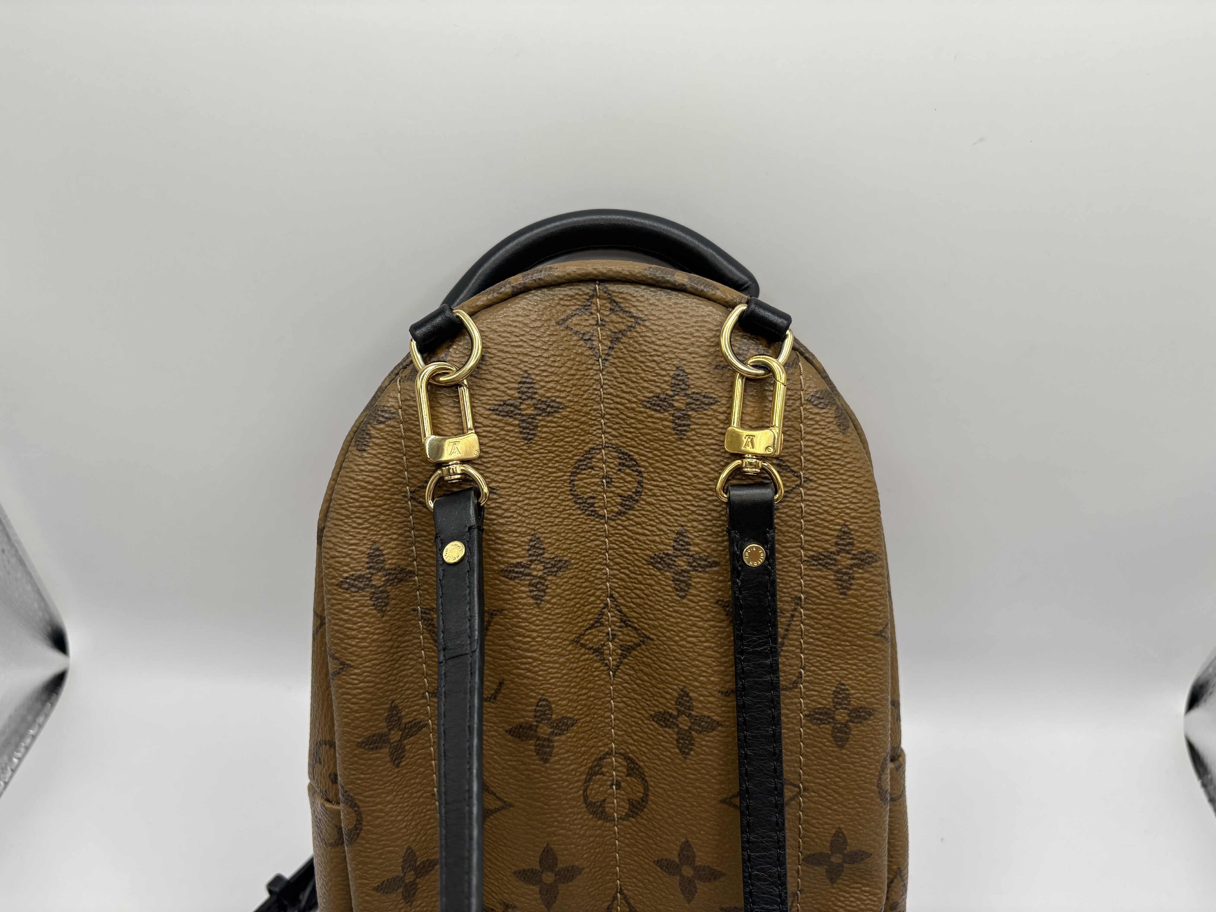 Monogram Reverse Palm Springs Backpack MINI M44872 Rucksack — view 8