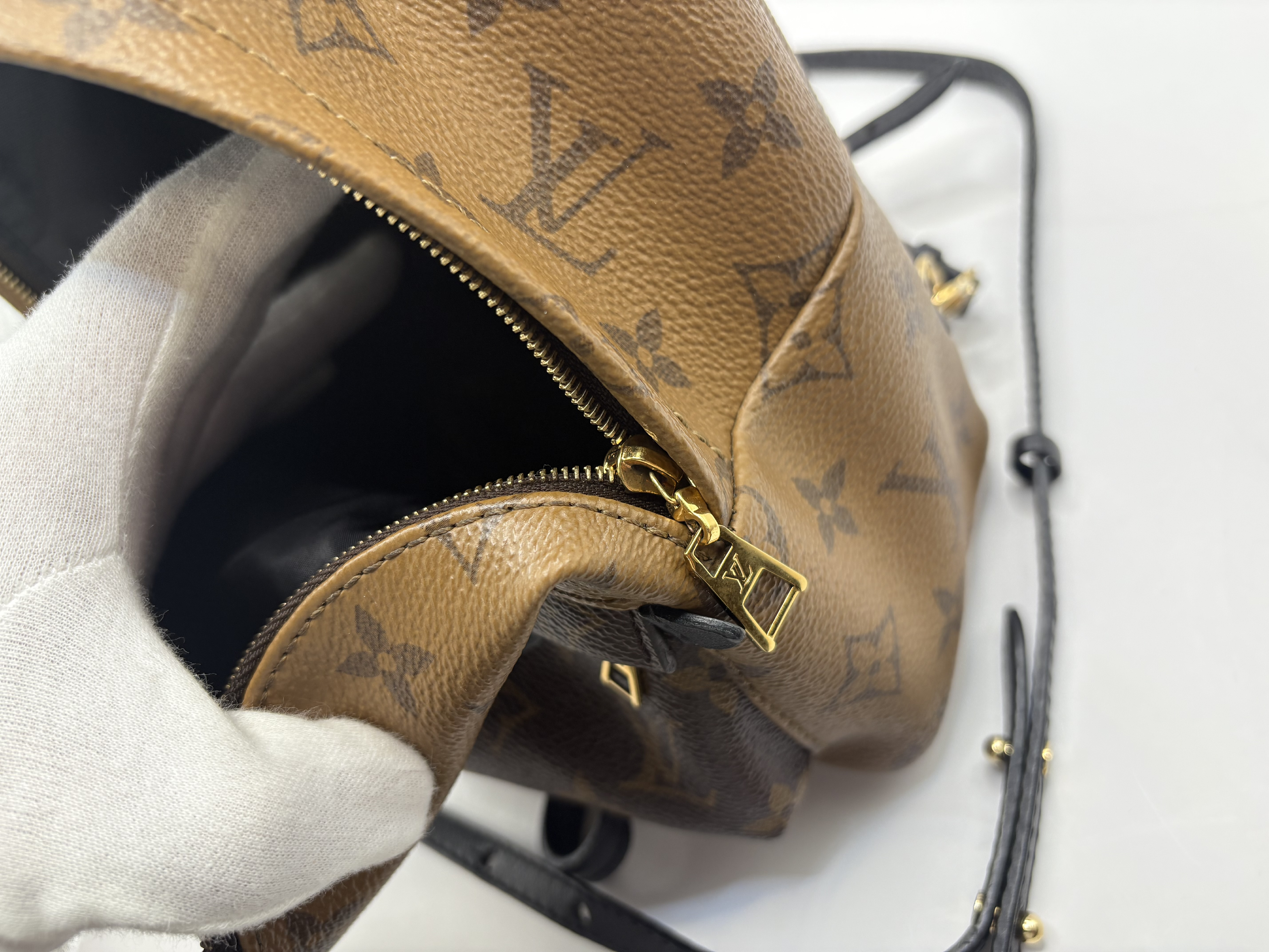Monogram Reverse Palm Springs Backpack MINI M44872 Rucksack — view 9