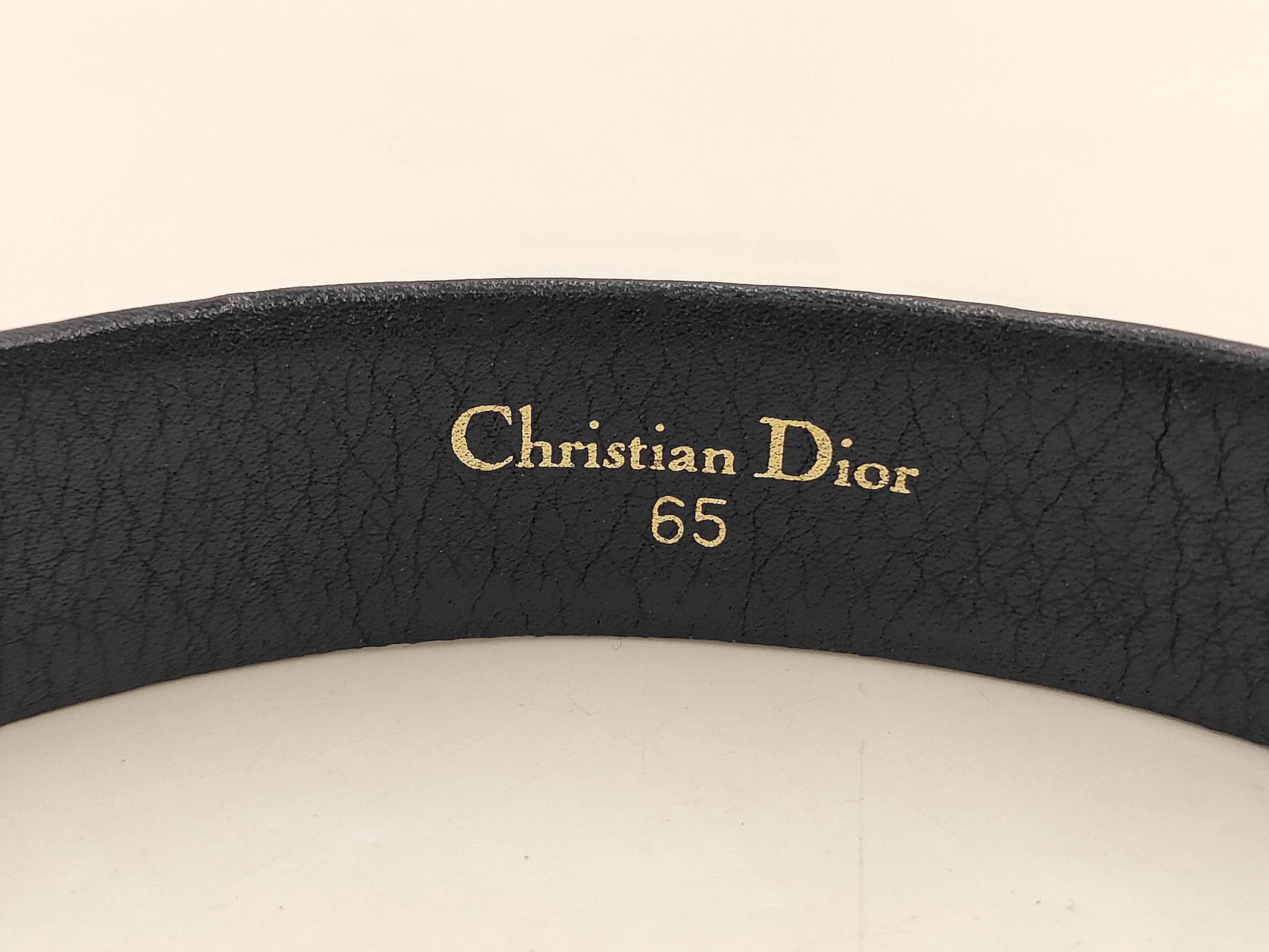 Trotter Belt — view 7