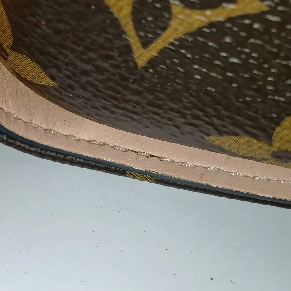 Monogram x Leather Tuileries Tote - AA2198 Brown (RFID detected) — view 15