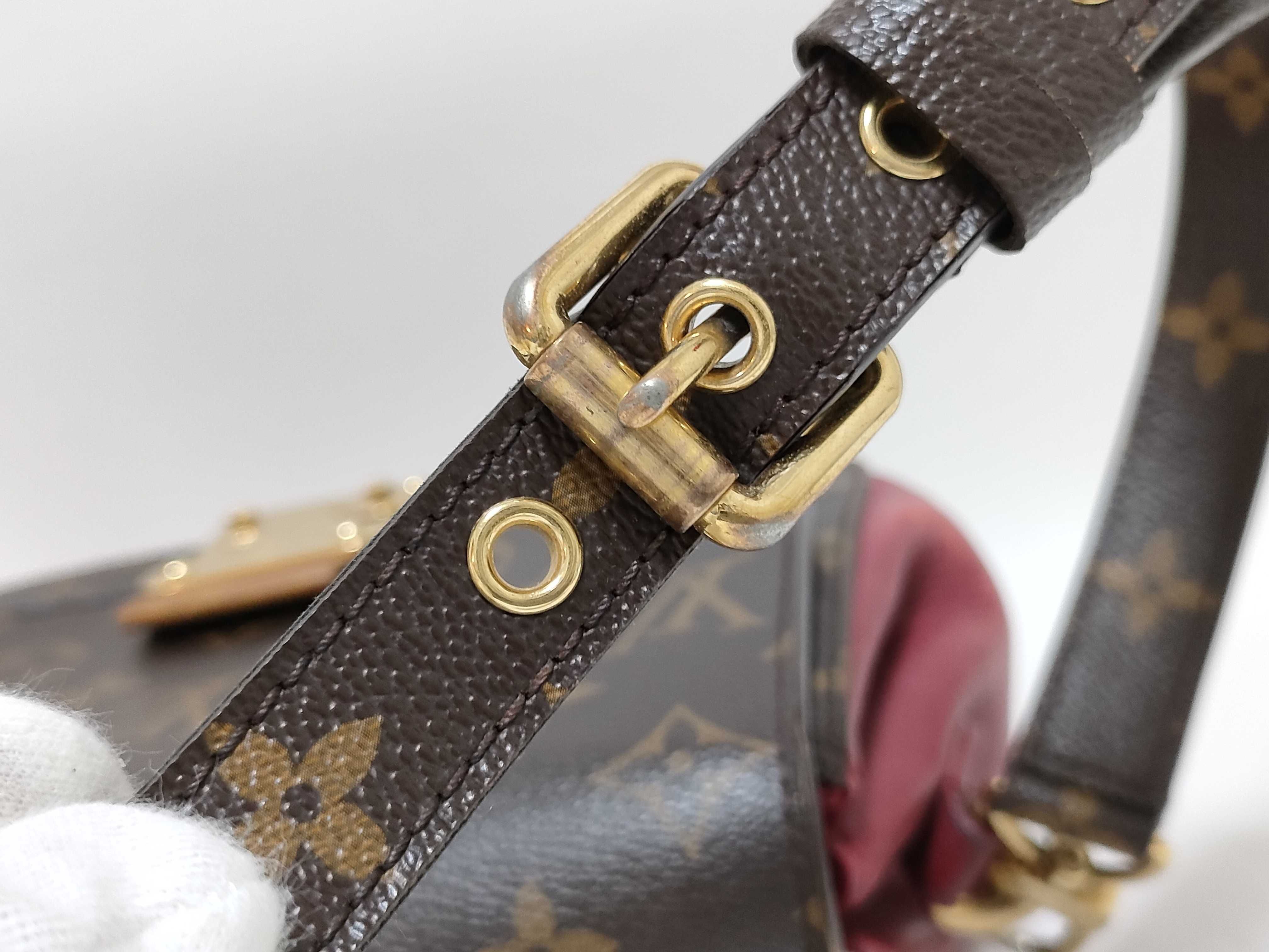 Monogram Eden PM / Monogram / Bordeaux / M40577 / AR3162 Handbag — view 5