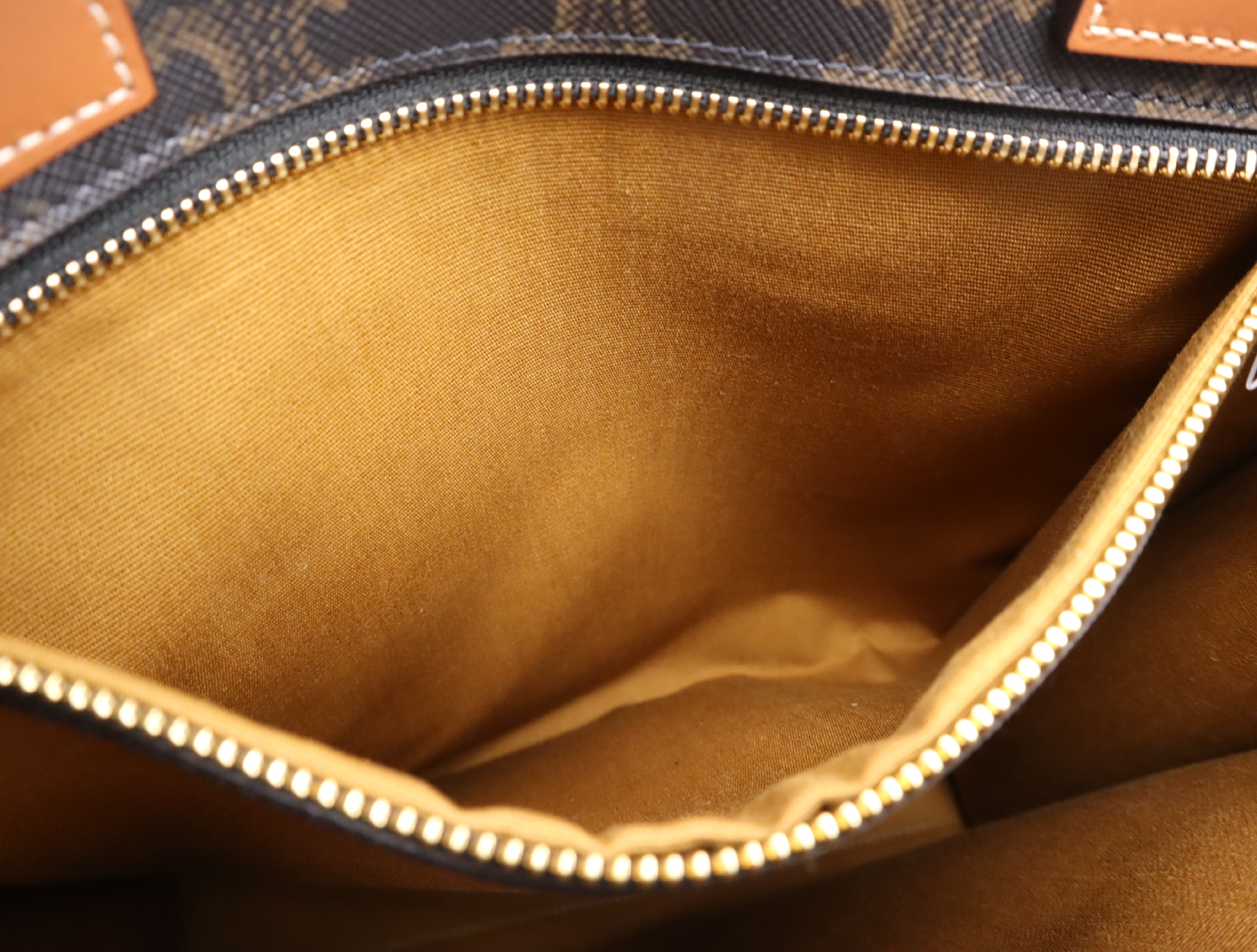 191542BZK Leather Triomphe Cabas Vertical Tote F-LM-2211 F-AT-1271 Tote bag with shoulder strap and dust bag — view 15