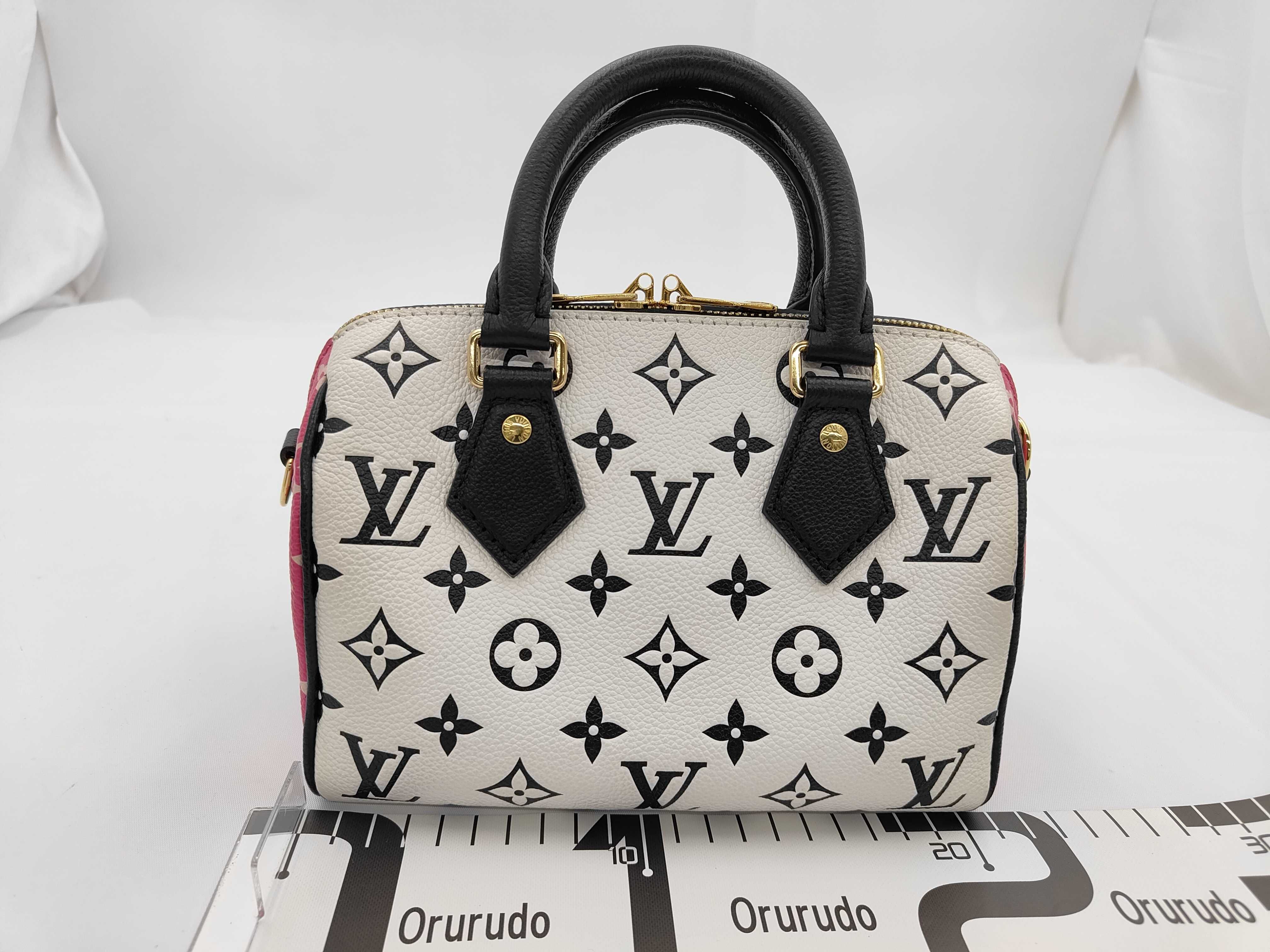 Speedy Bandoulière 20 M46088 Handbag — view 2