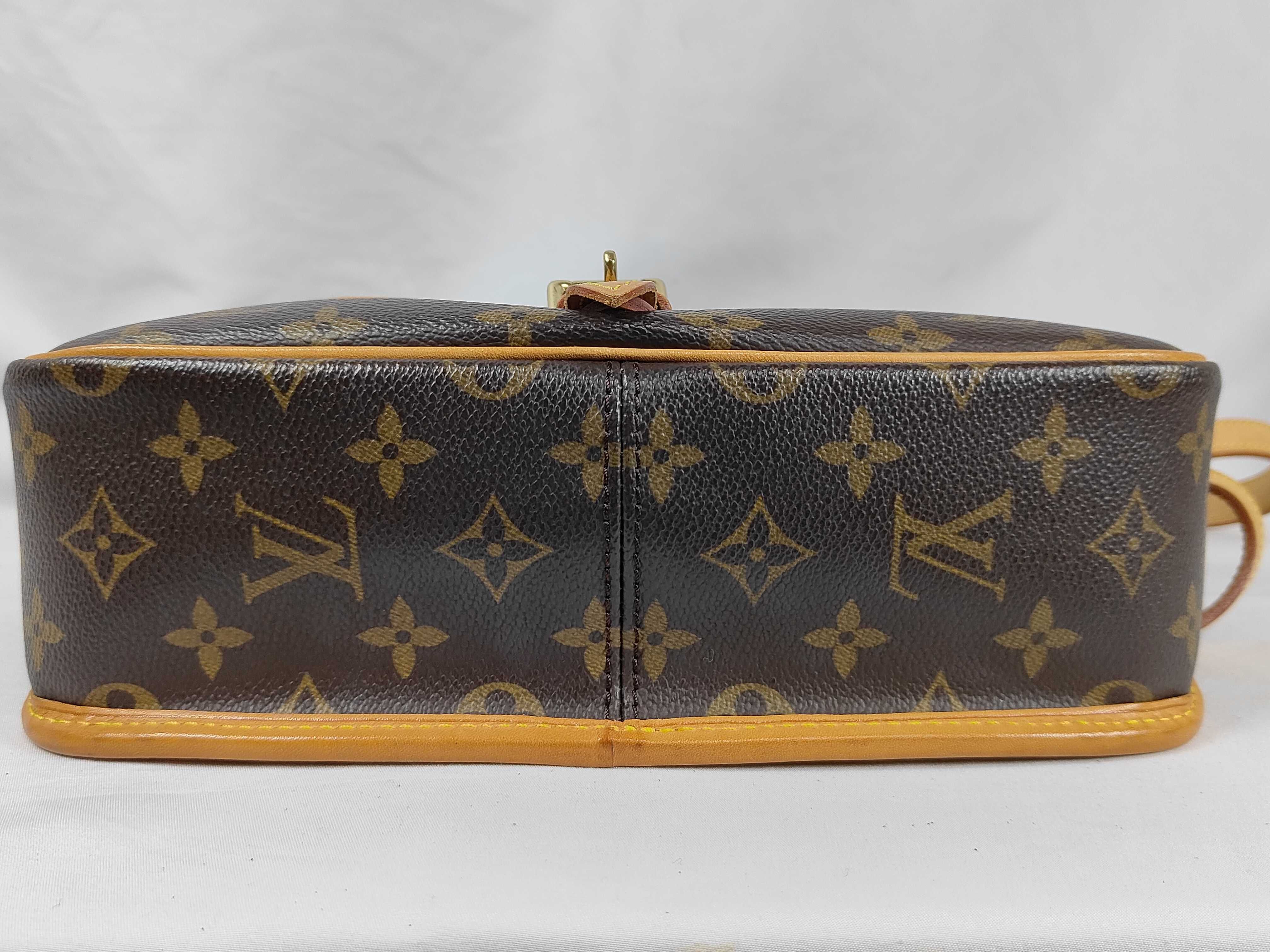 Monogram Sologne M42250 Shoulder Bag — view 7