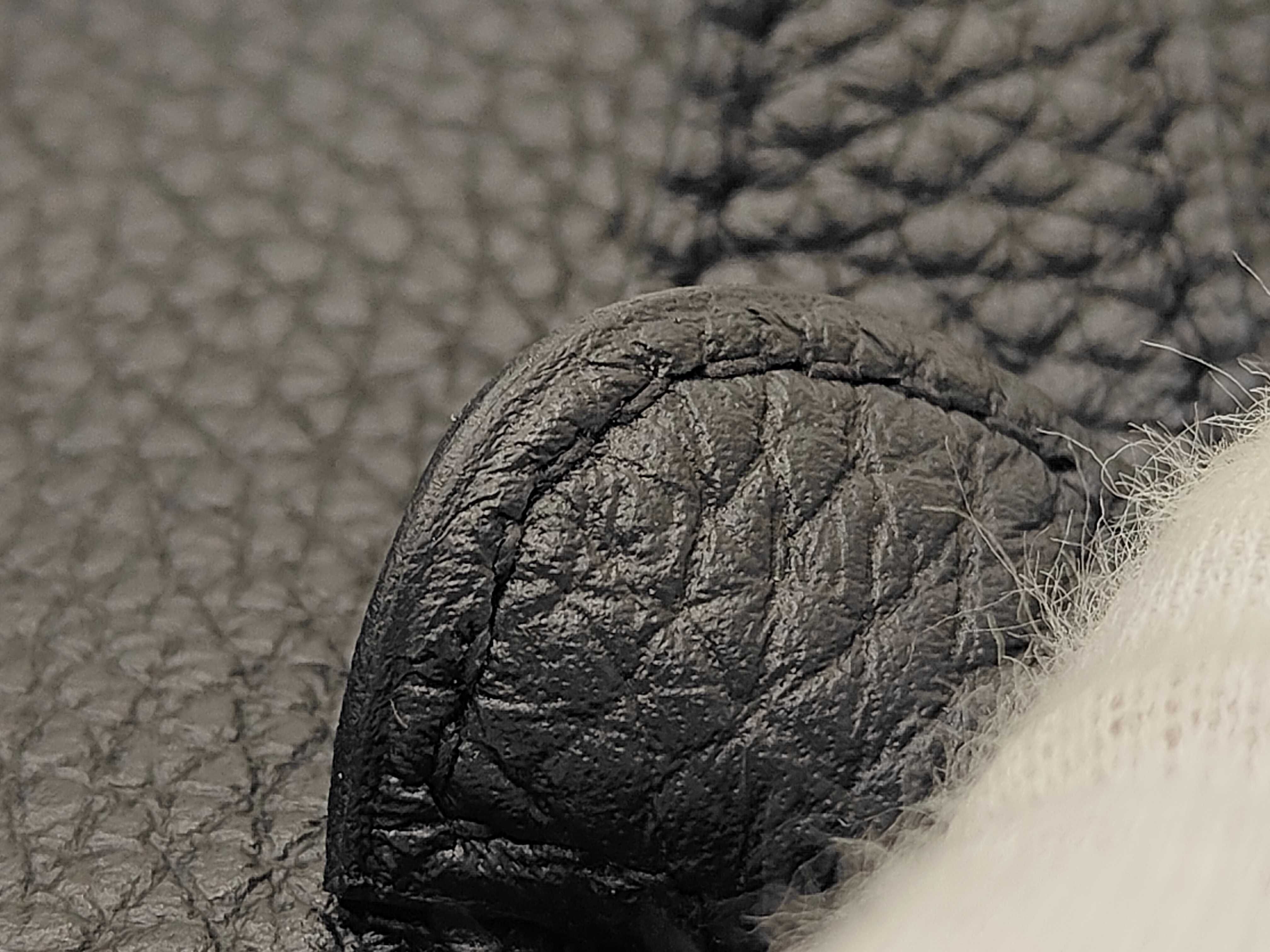 Evelyne 3PM Taurillon Black U Stamp Shoulder Bag — view 11