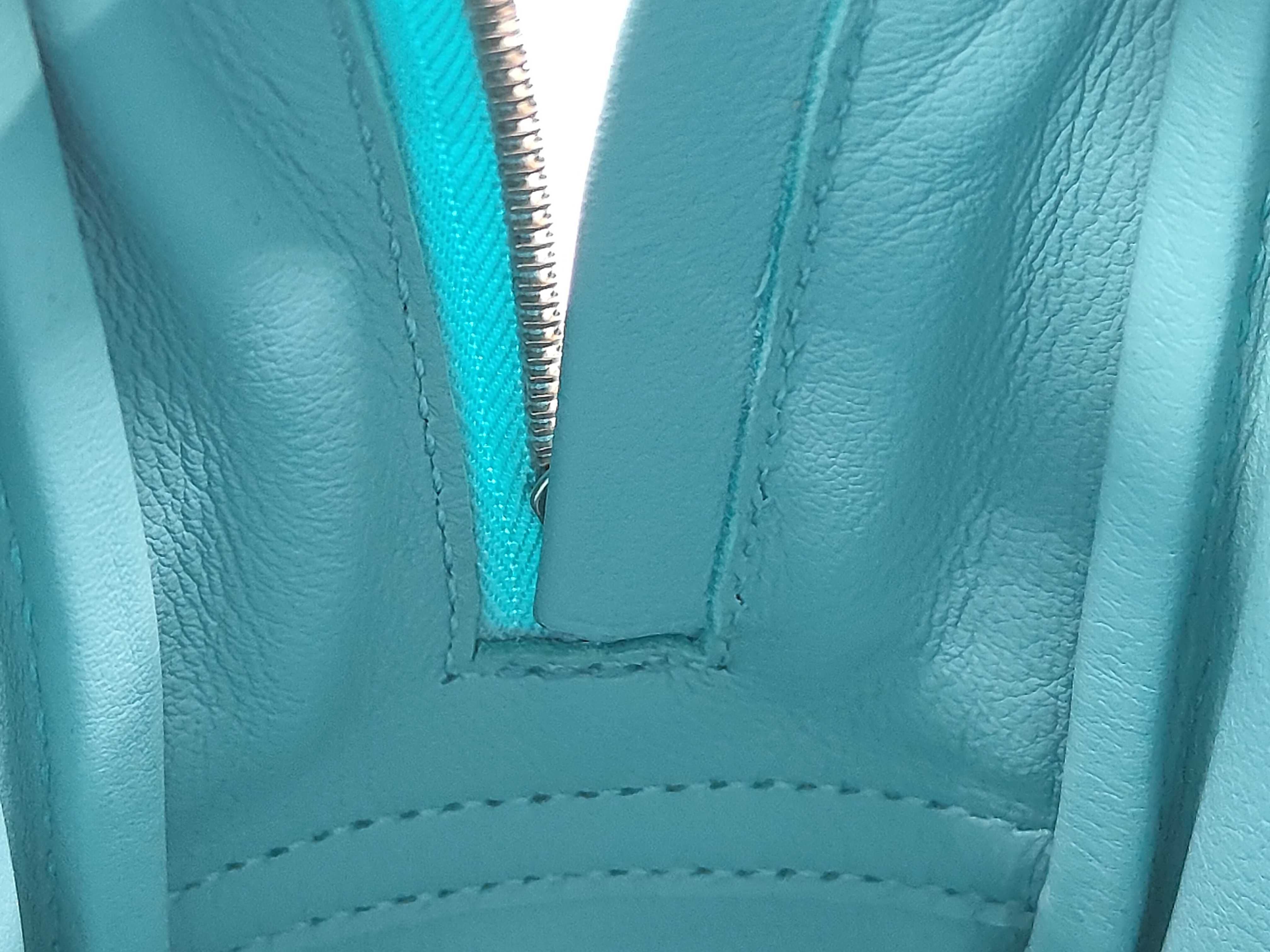 Swift Mini Plume T-stamp Blue Rain Cover Handbag — view 11