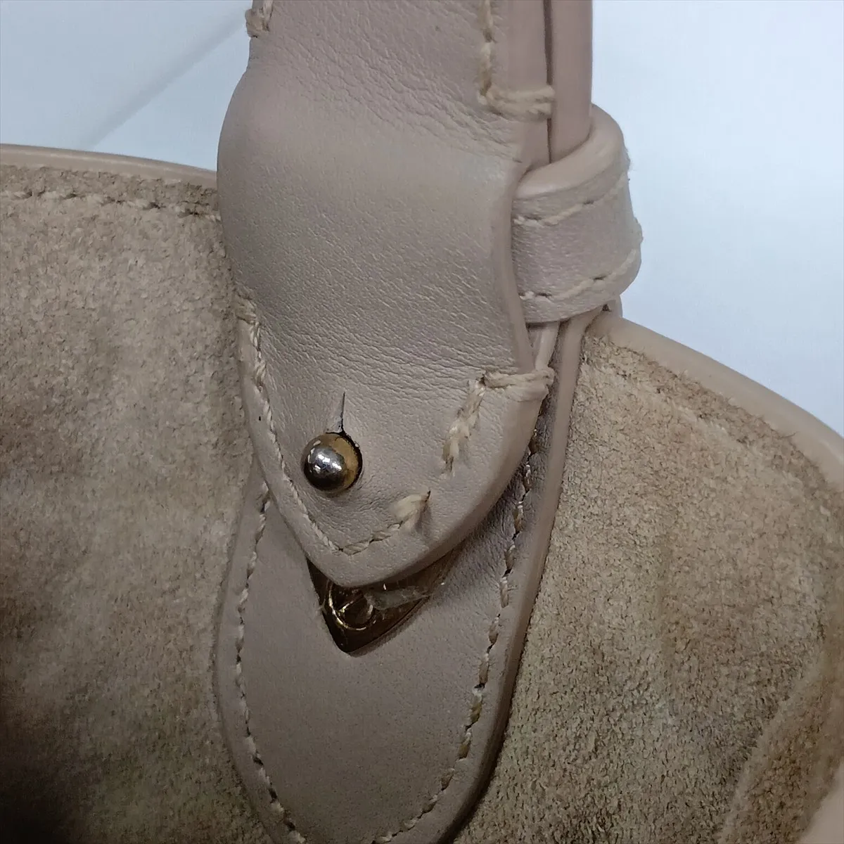Macro Cannage Toujours Leather Handbag, Beige, Lucky Star — view 11