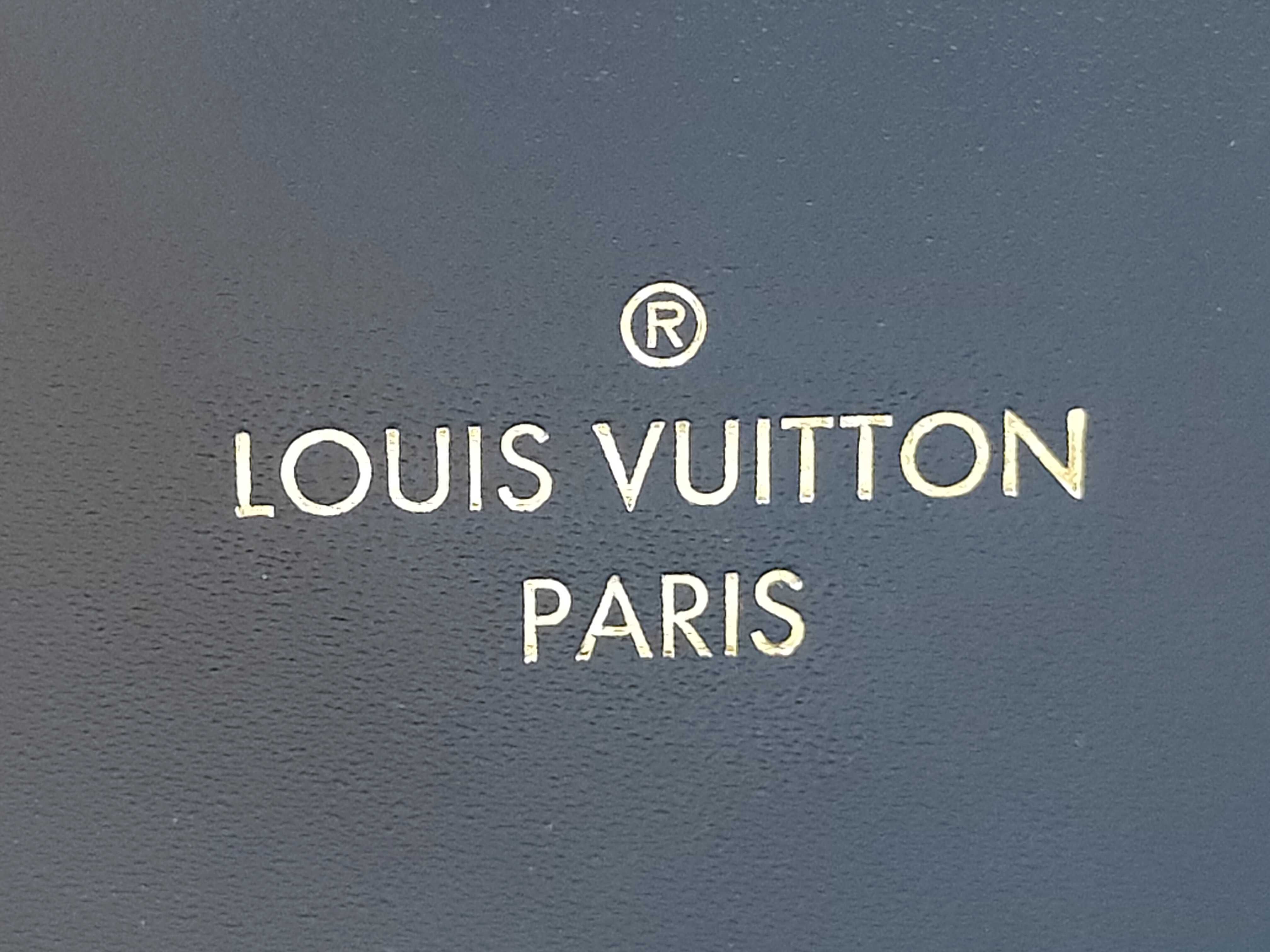 LV Epi Pegase Carry Bag — view 5