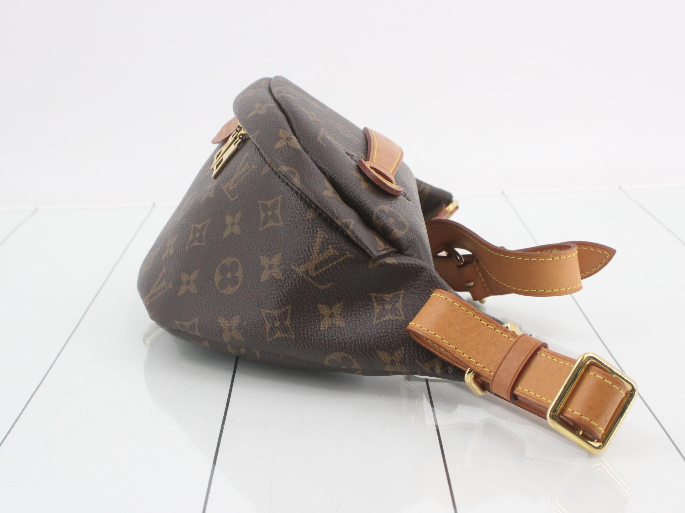 Monogram Bum Bag Waist Bag — view 3