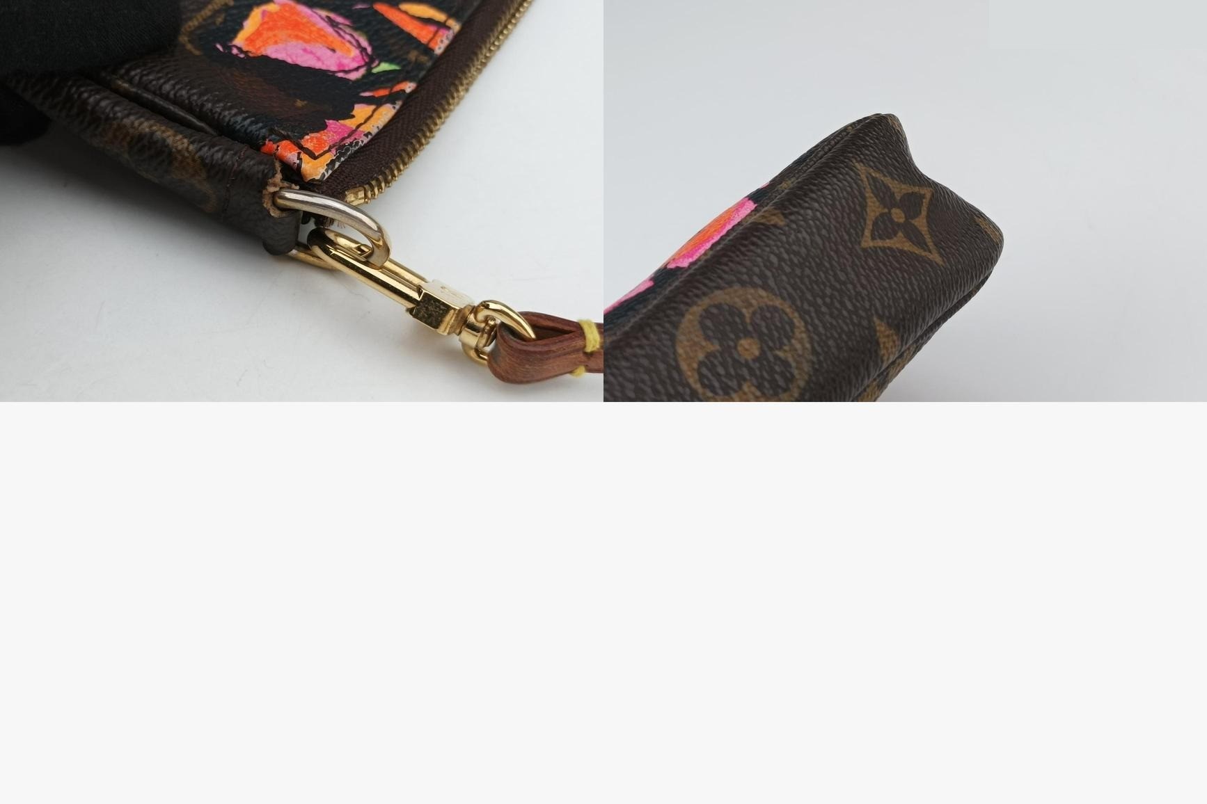 Pochette Accessoires Monogram Canvas Monogram/Brown x Multi — view 10