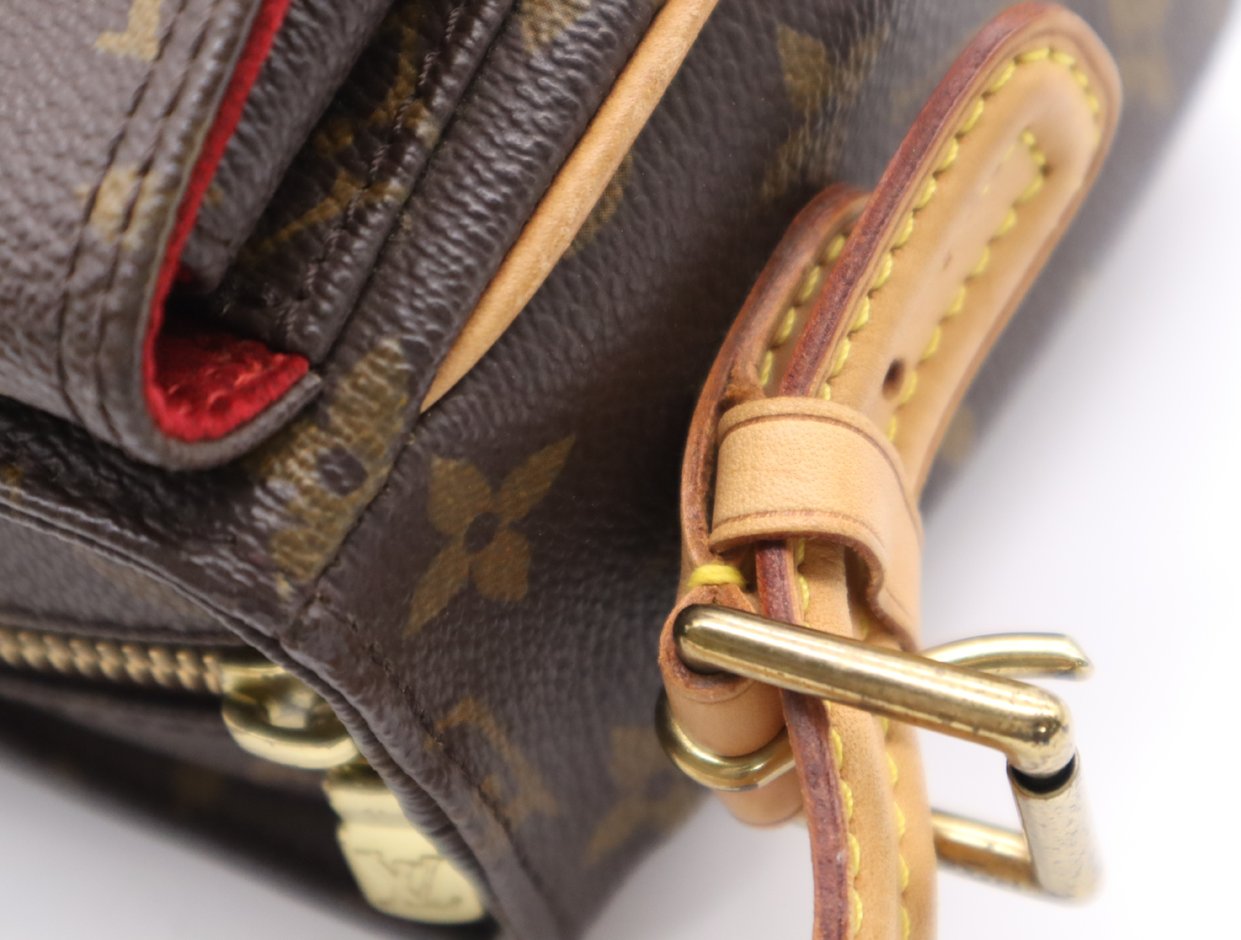 M51164 Monogram Viva Cite MM Shoulder Bag — view 9
