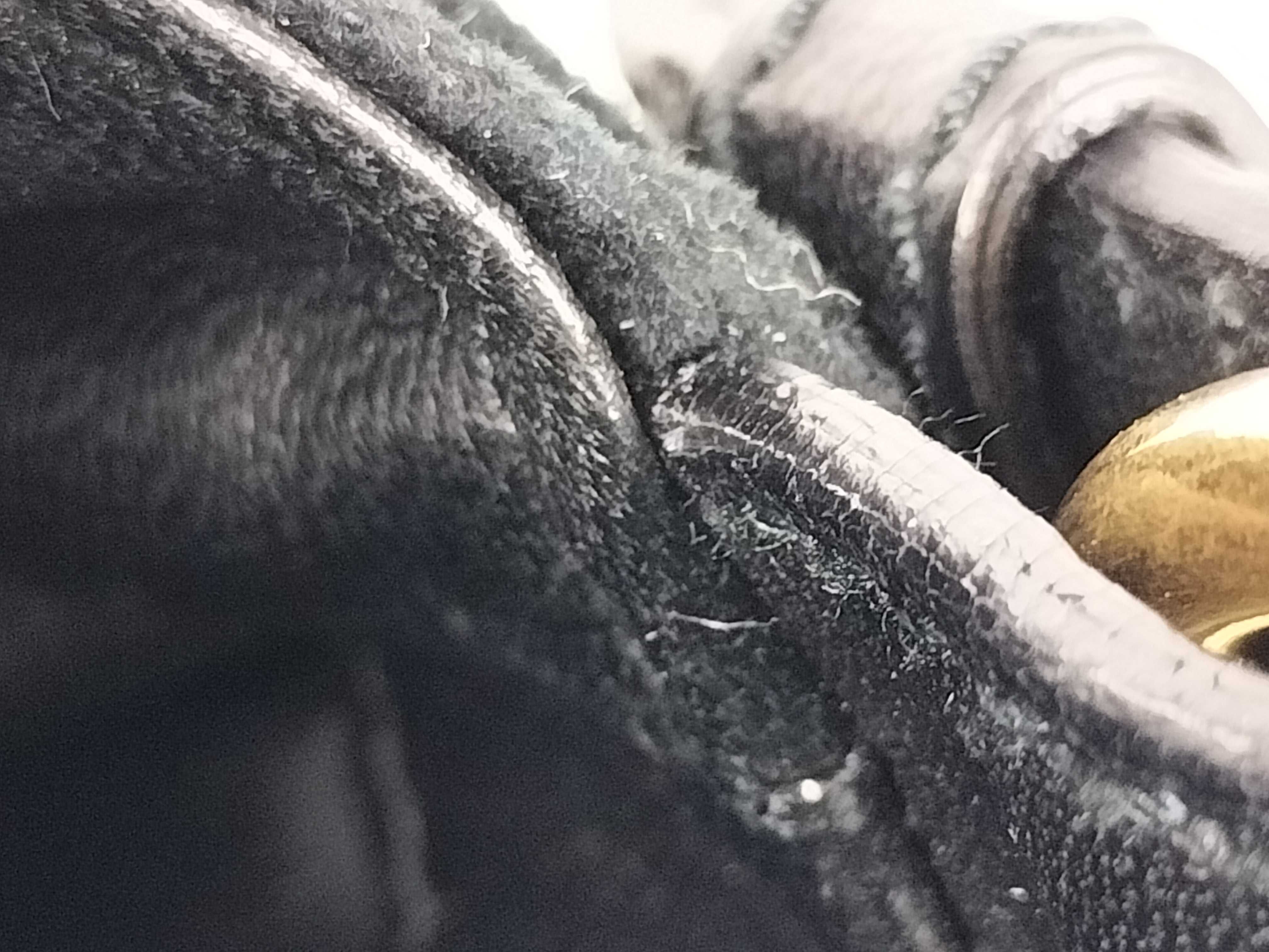 Saint Tropez Velour Black Shoulder Bag — view 9