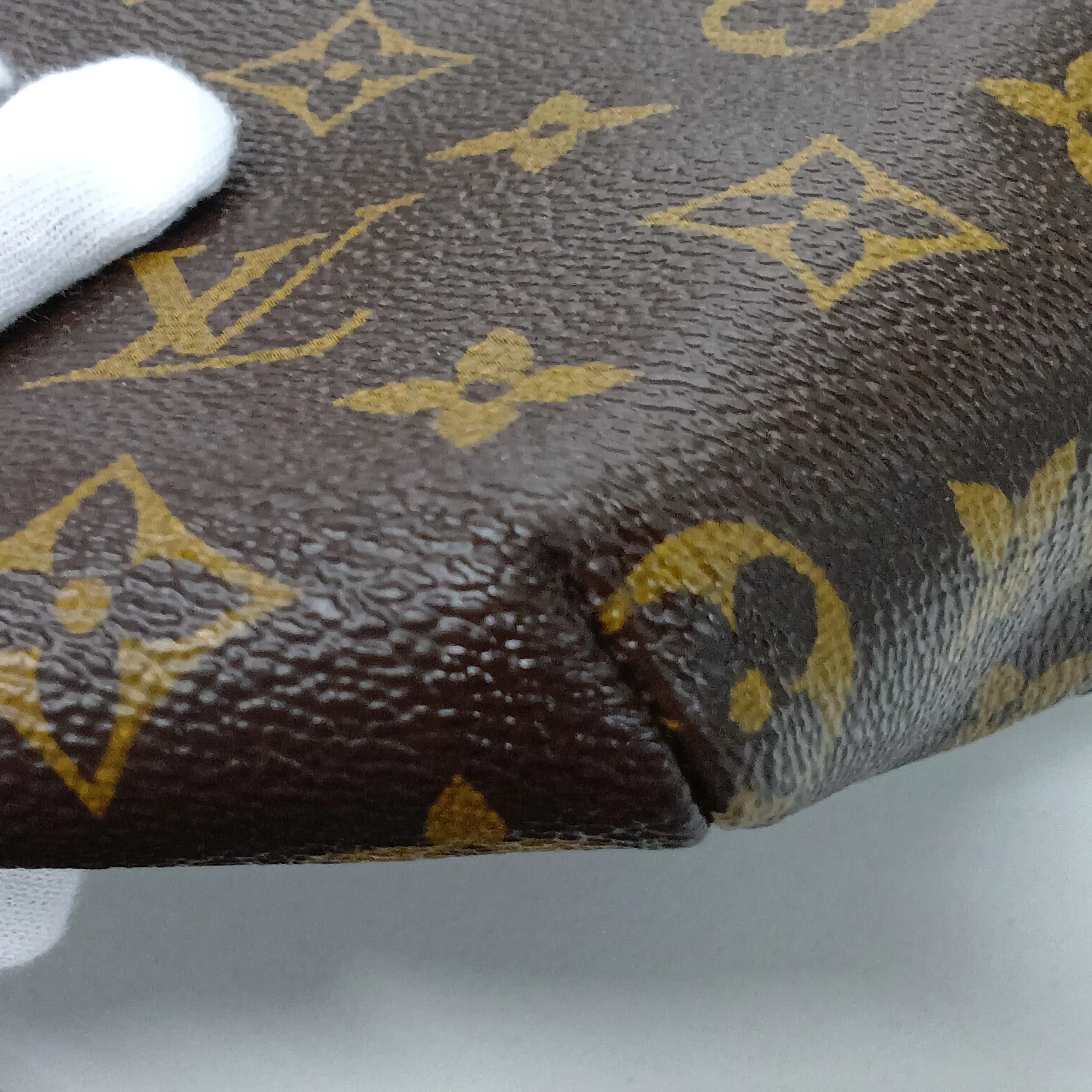 Monogram Raspail GM M40609 AH1132 Brown — view 15