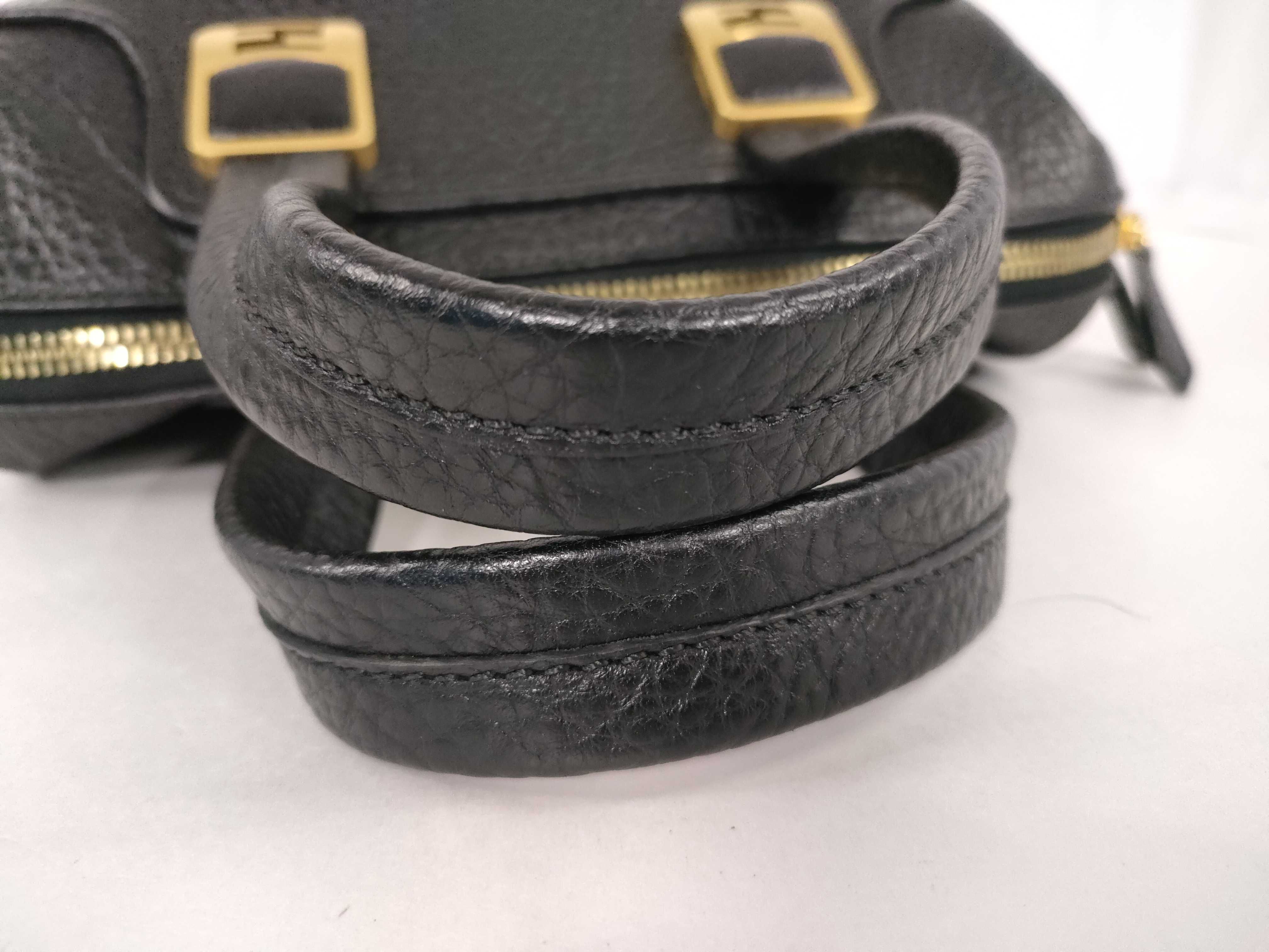 Chameleon Handbag, Black, with Dust Bag — view 4