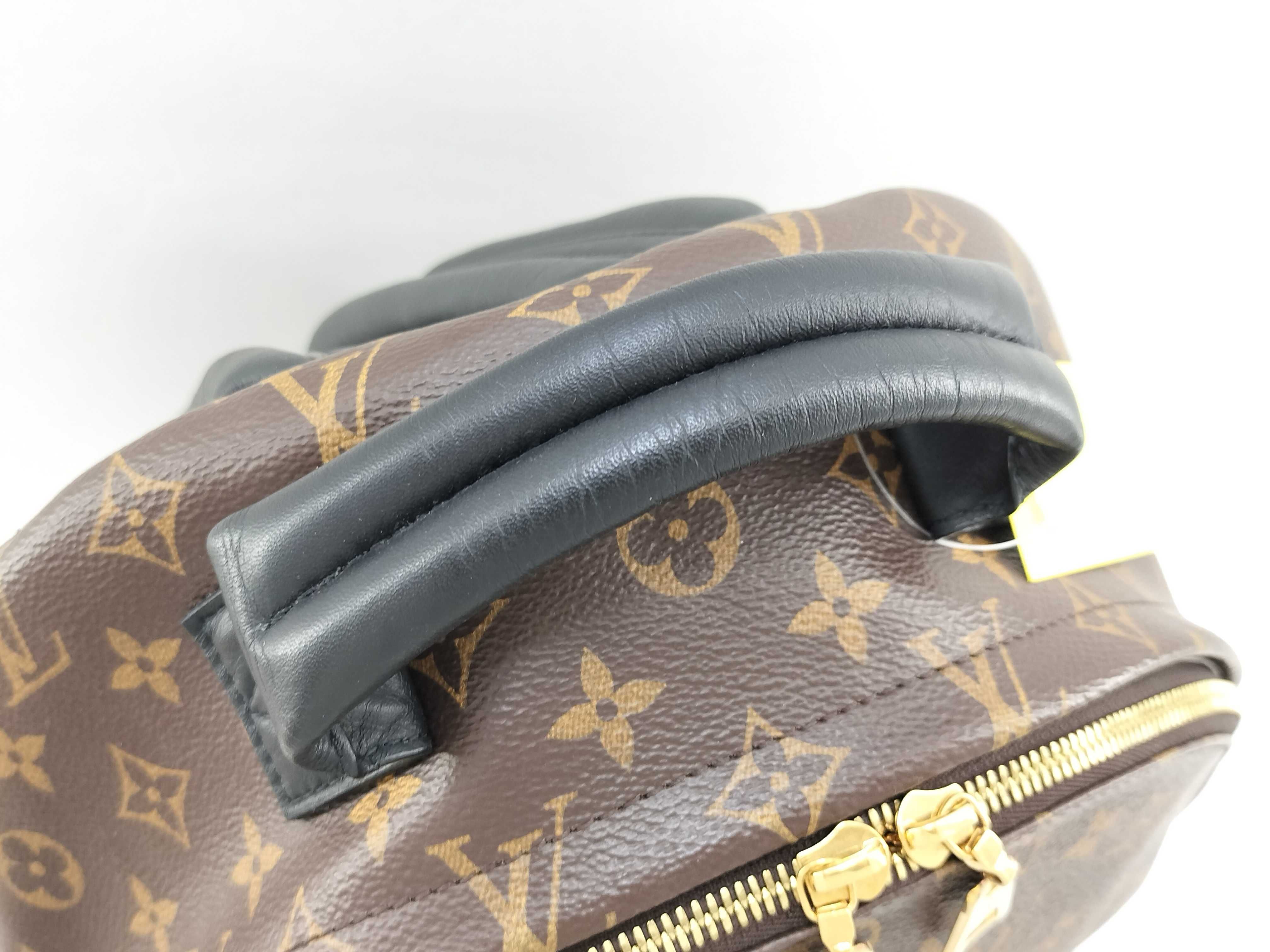 Monogram Palm Springs Backpack MM Rucksack — view 6