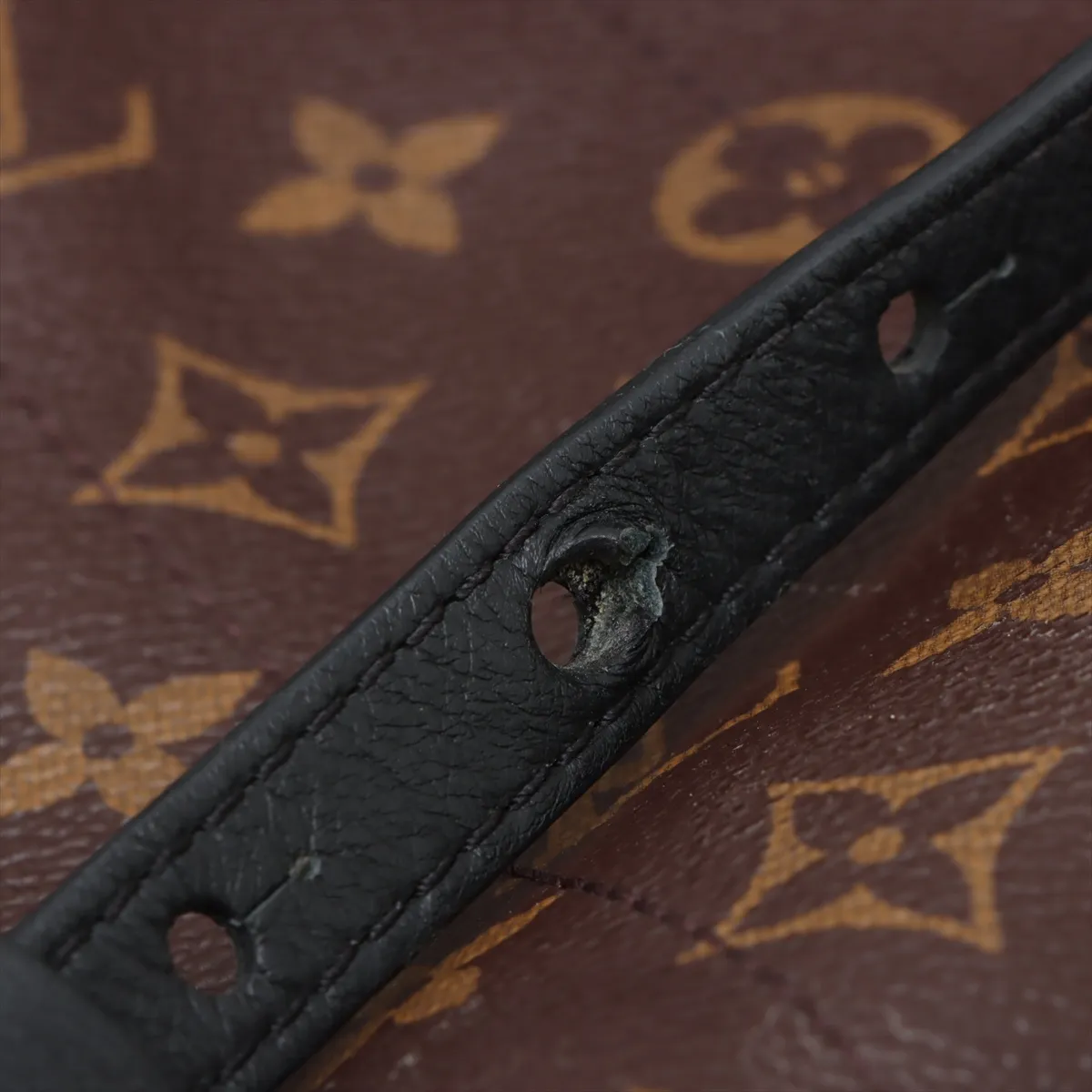 Monogram Palm Springs Bag Pack MM M41561 FL1188 Brown — view 13