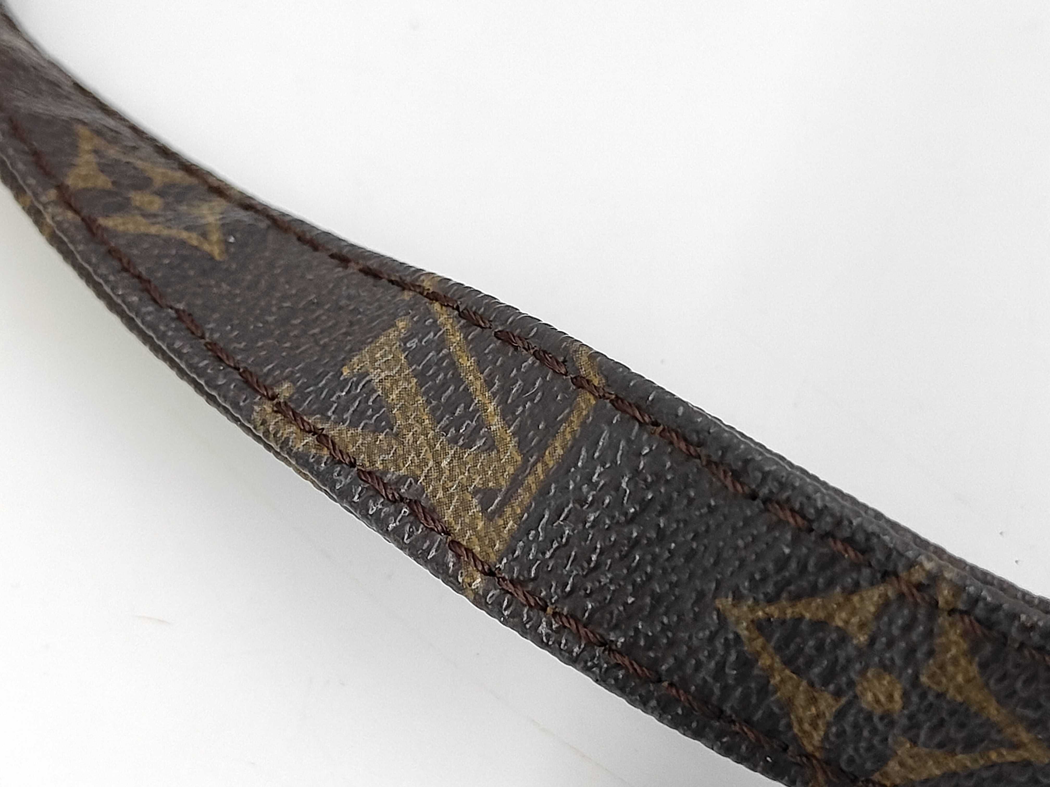 Monogram Old Danube Shoulder Bag — view 5