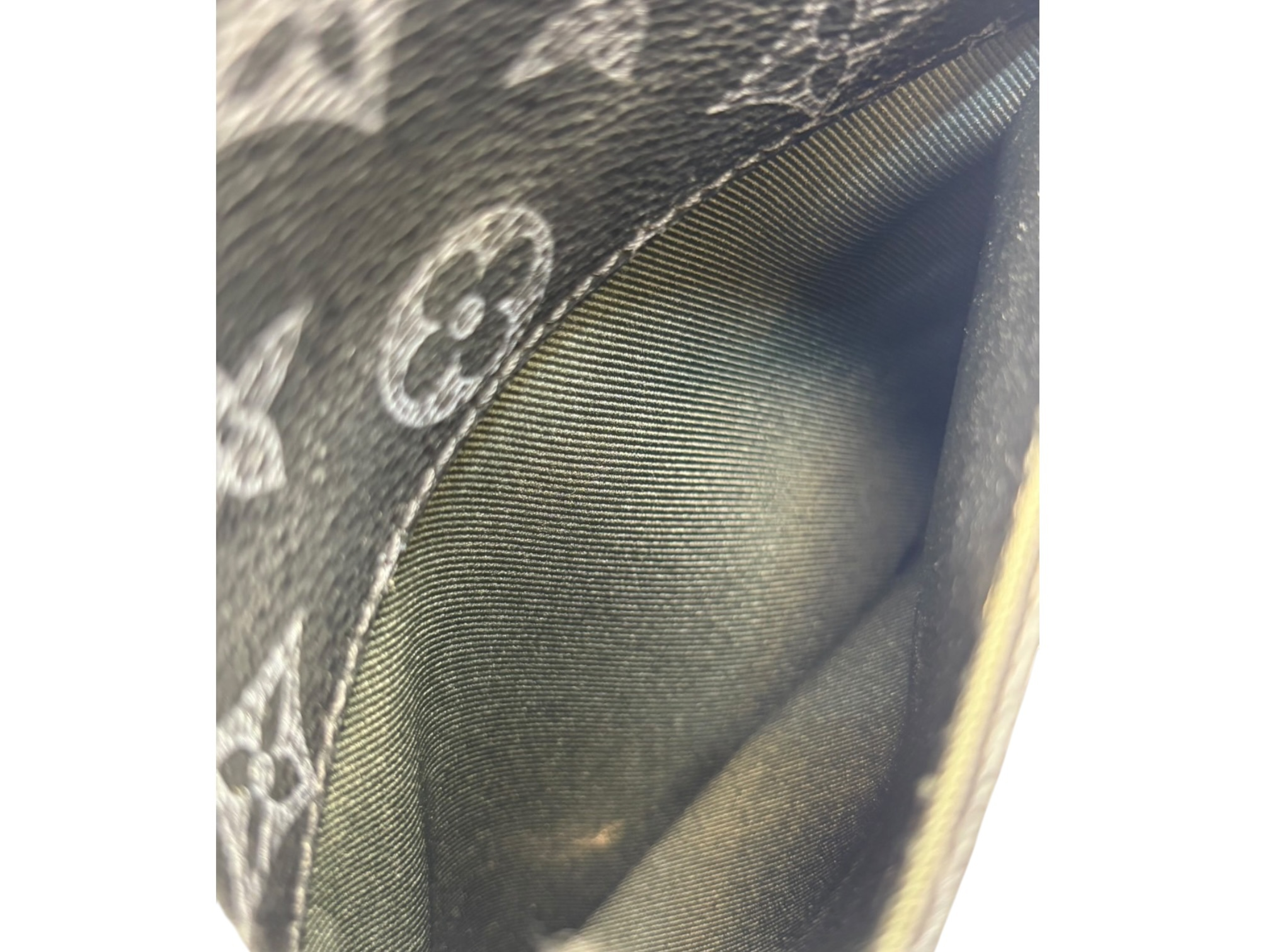 Monogram Vivienne Danube PM M43677 Shoulder Bag — view 12