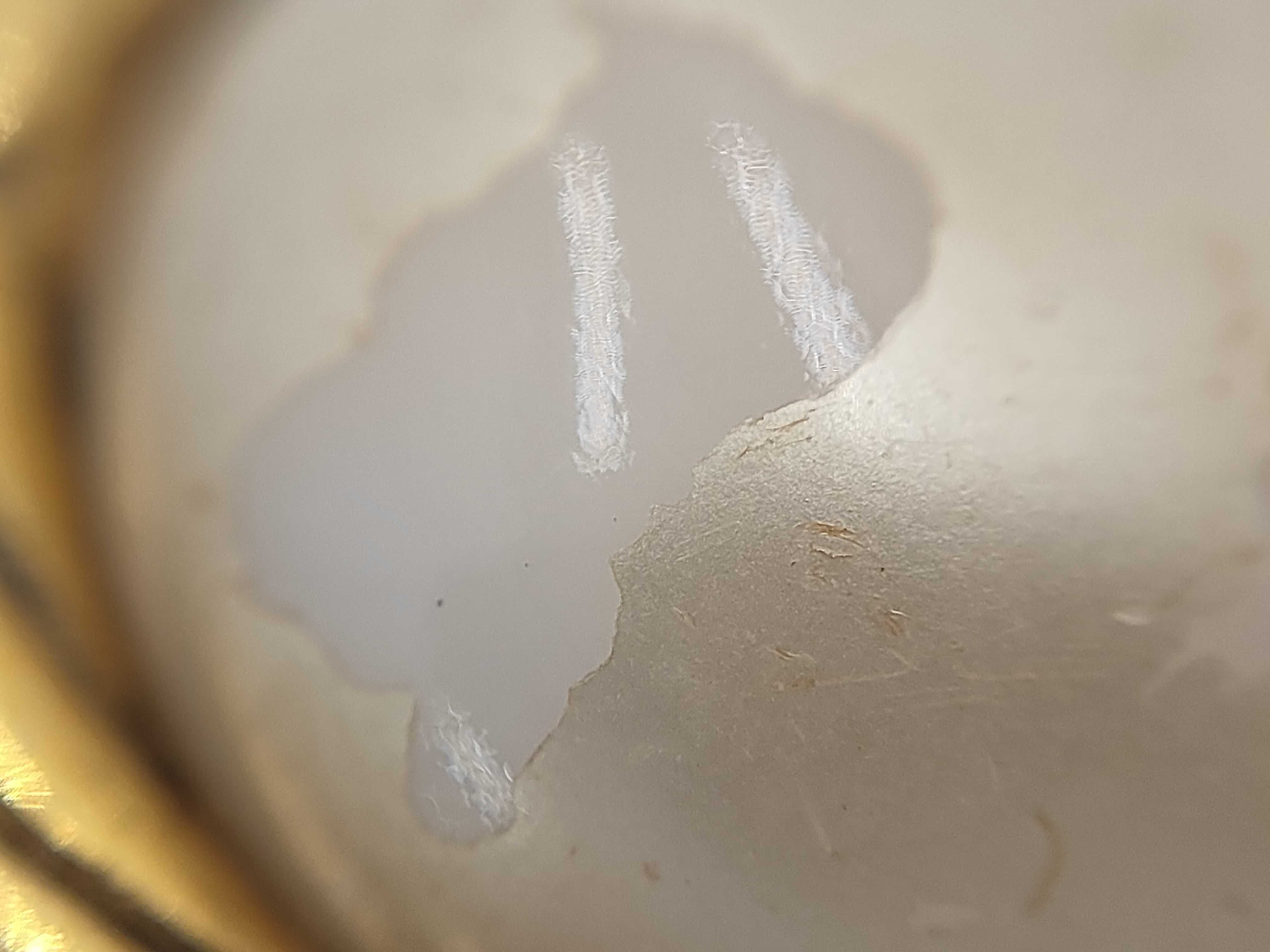 93/P / GP Earrings — view 7